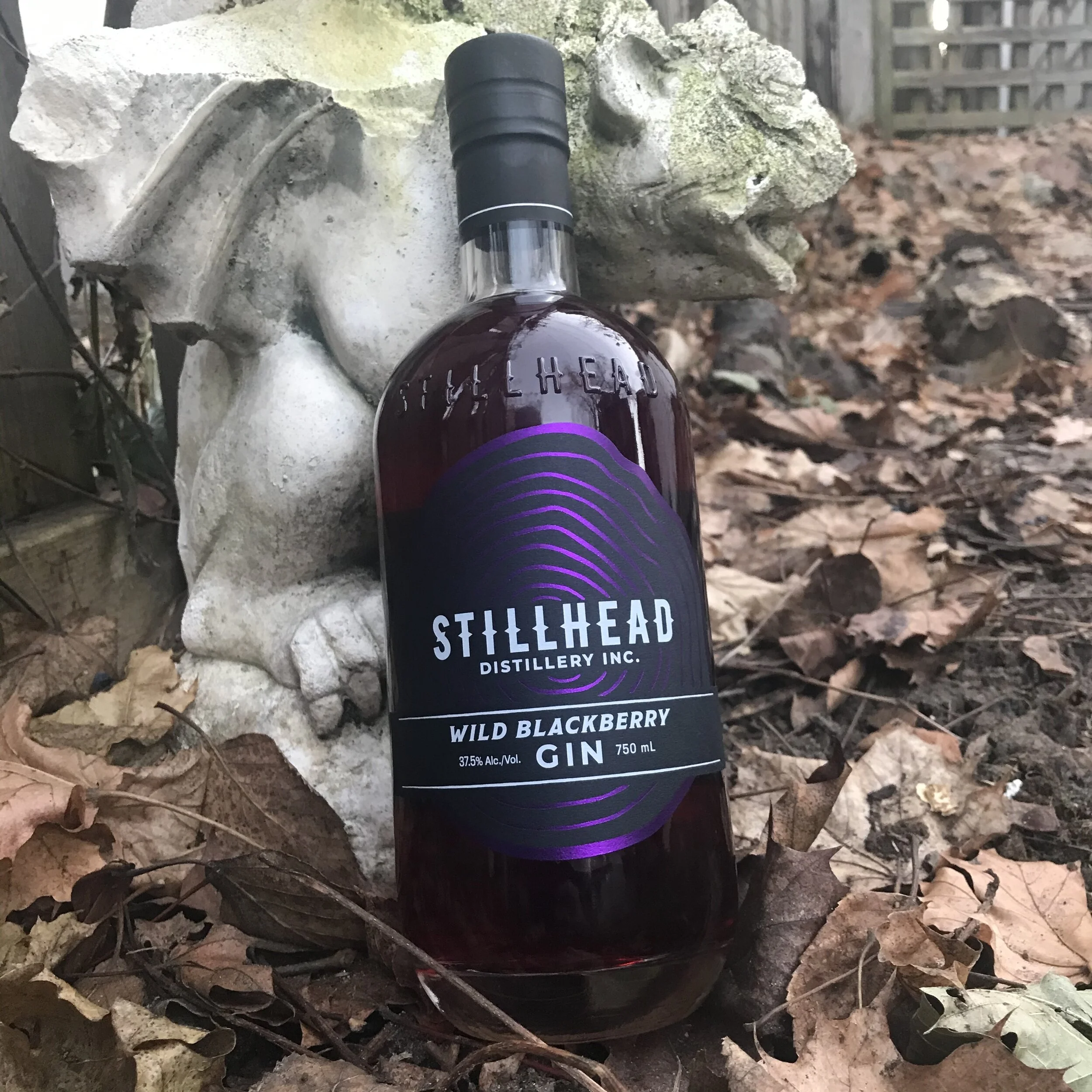 Stillhead Wild Blackberry Gin