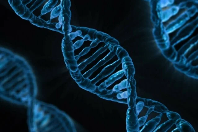 DNA-strands_0.jpg