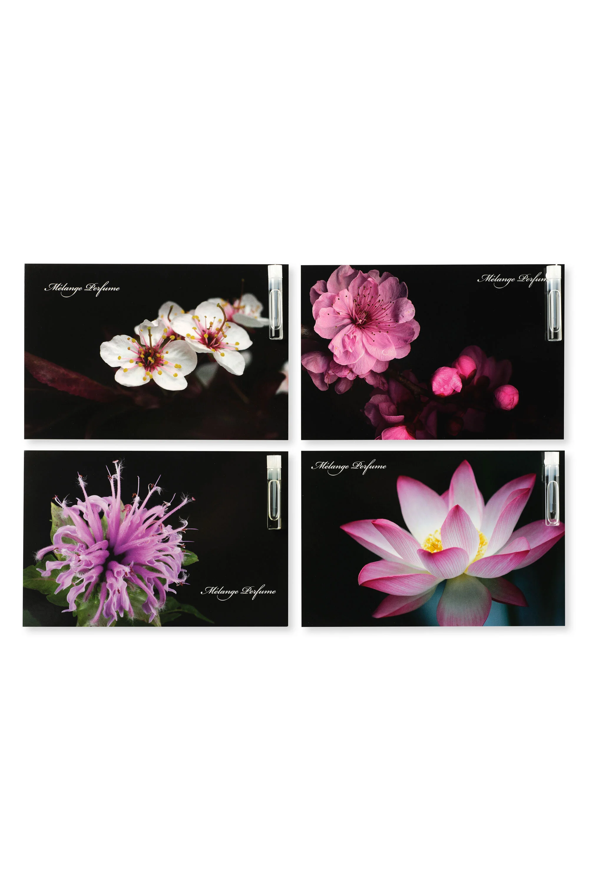 Green &amp; Fruit Sample Set