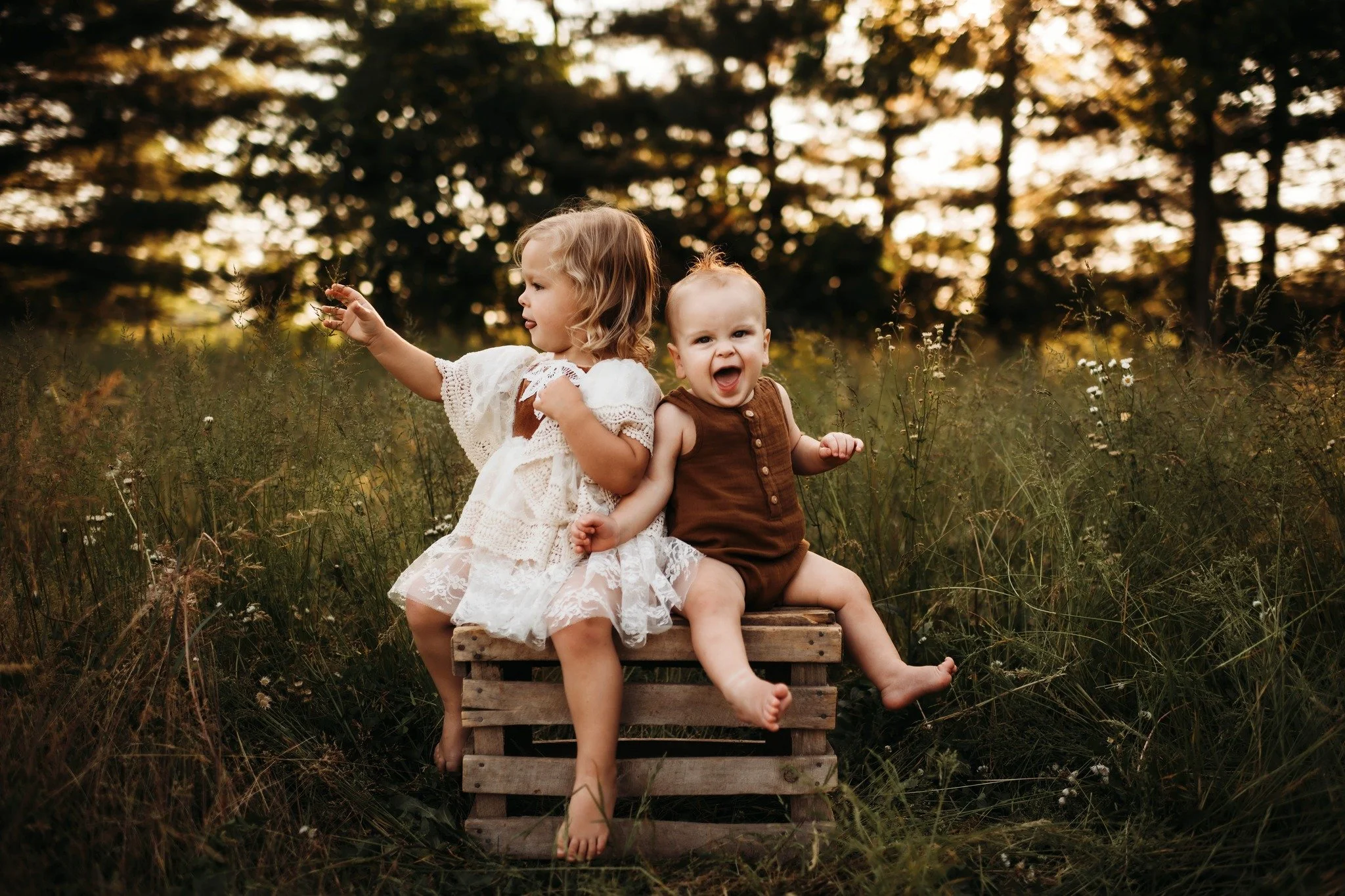 toddlers in grassy field at sunset