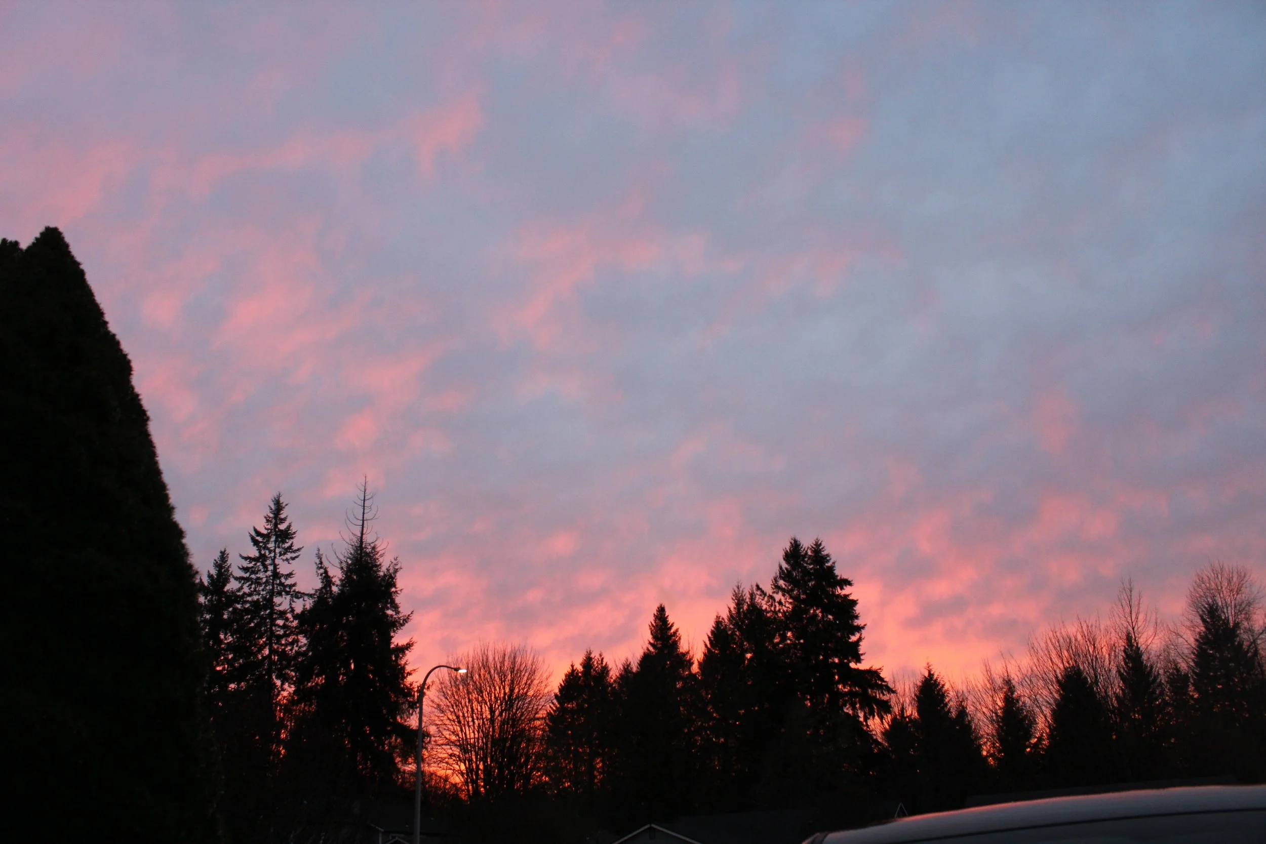 Gratitude always wins