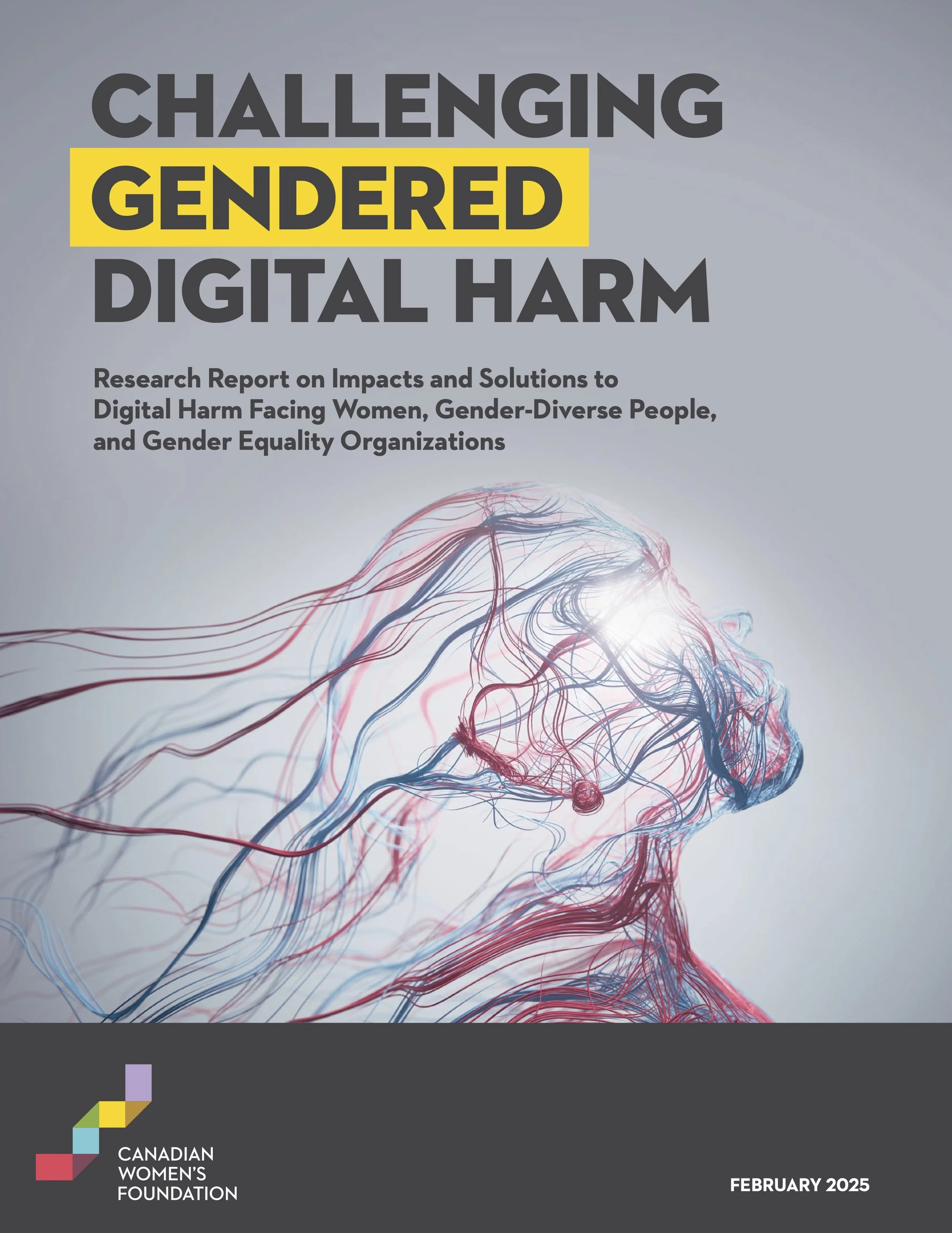 Challenging Gendered Digital Harm