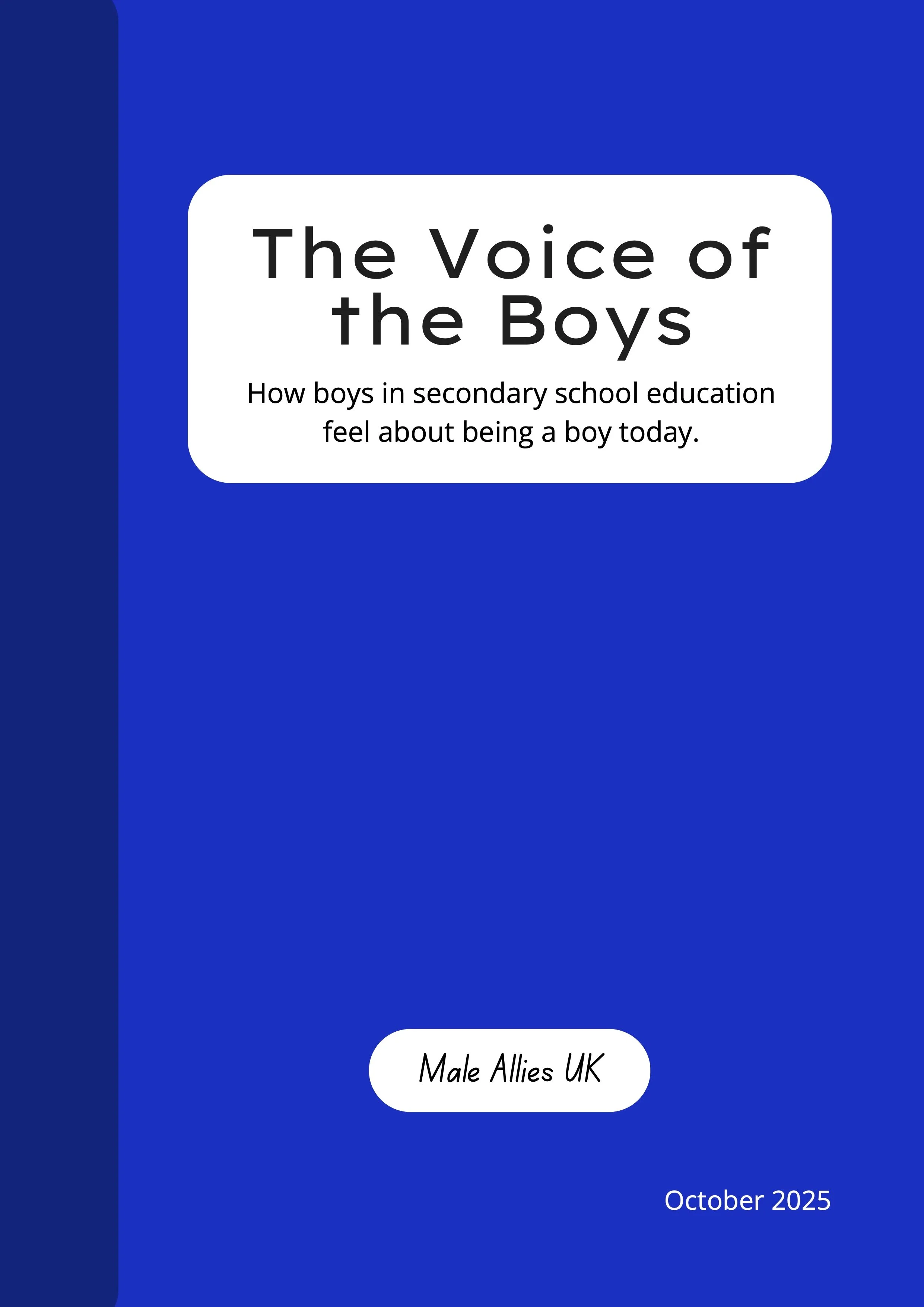 The Voice of the Boys: How Boys in Secondary School Education Feel About Being a Boy Today