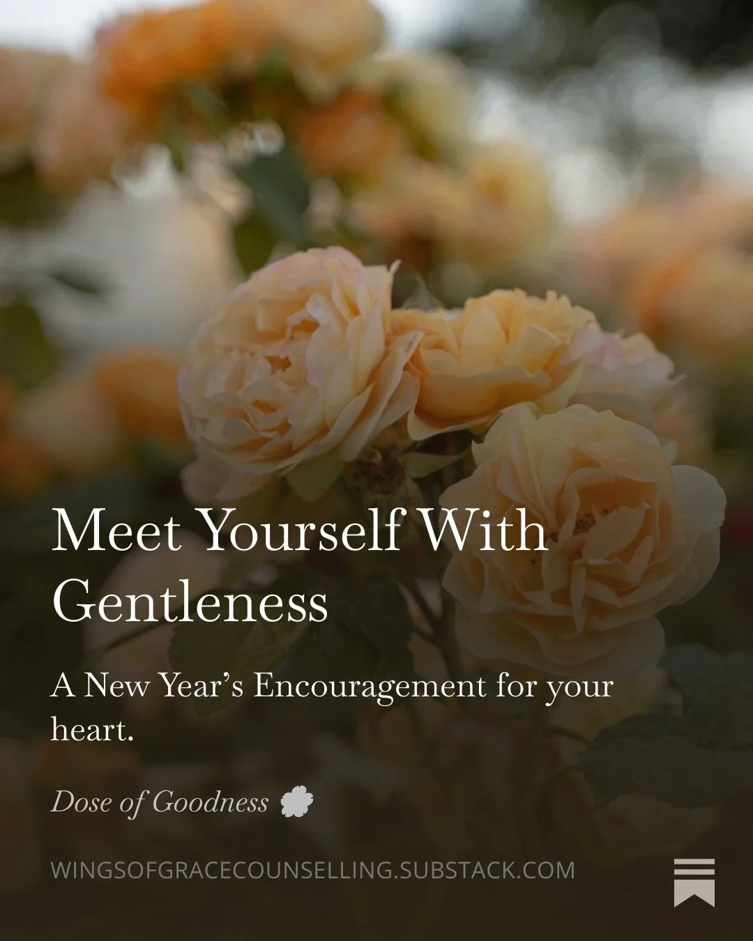 The coming of a new year tends to bring the pressure of feeling as though you need to have big plans and have everything figured out. The truth is though, it doesn&rsquo;t have to be that way. You can truly try softer. You can move in ease, in gentle