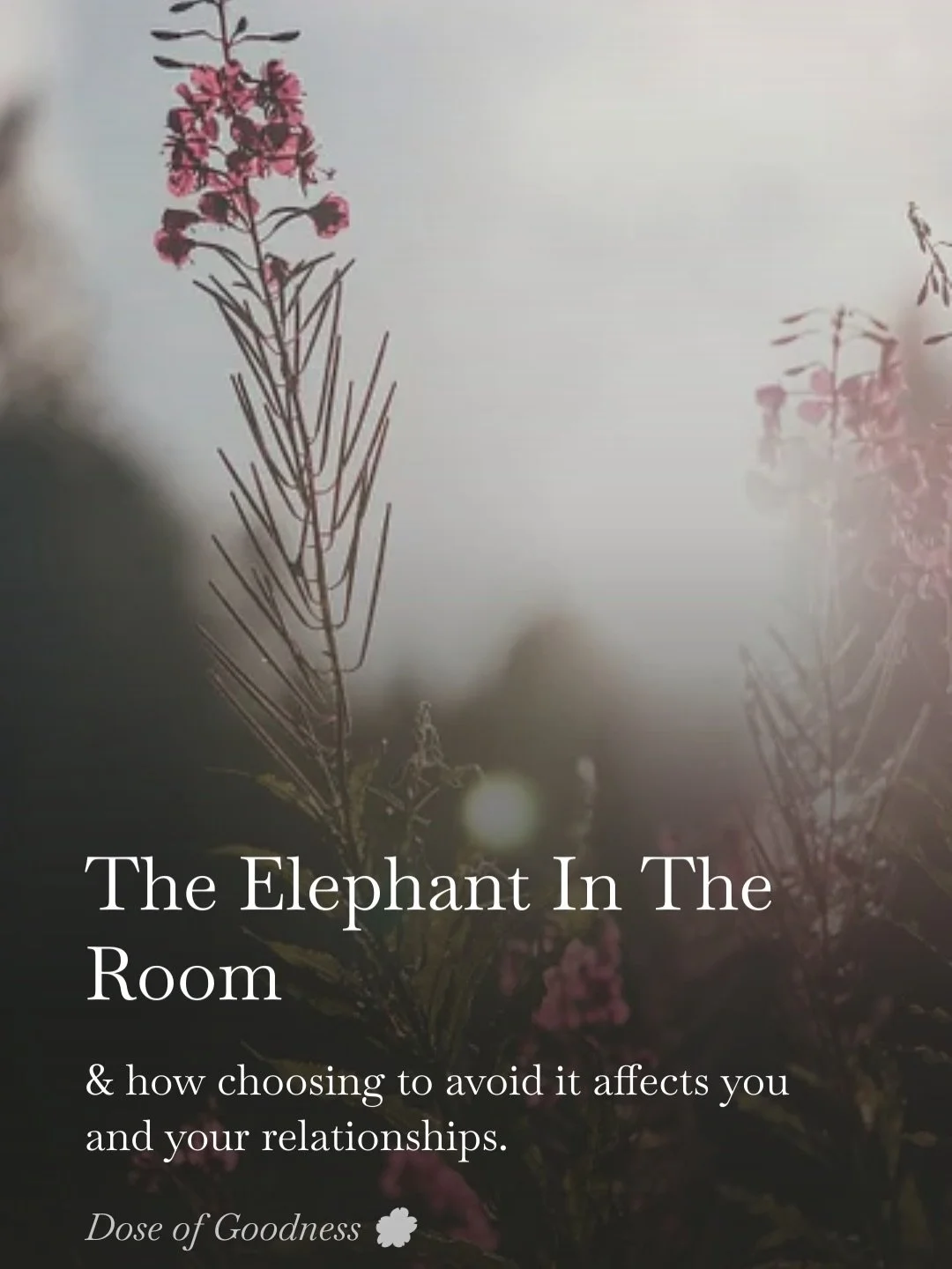 One of the common themes I see in my work a lot is avoidance. Avoidance of conflict, emotions, necessary conversations, or important decisions. I know fear is a massive driving force underneath the choice to avoid, which is understandable and makes s