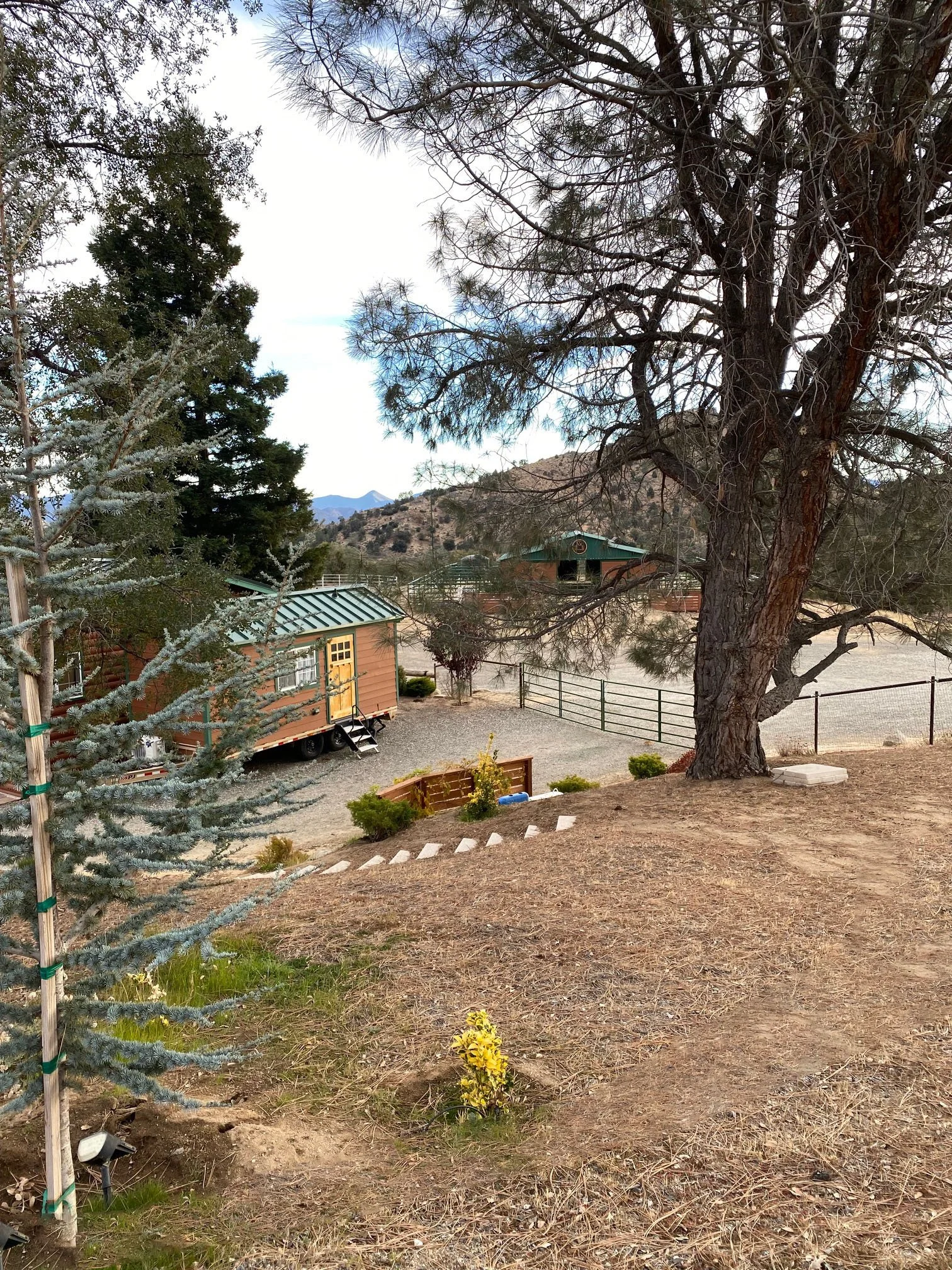 Copy of IMG_2822.jpg