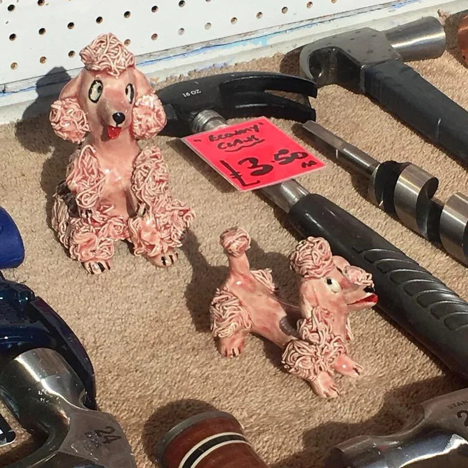 Pink Poodles