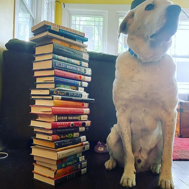 Our public library is reopening and I can finally drop off all the physical library books I&rsquo;ve read in quarantine. They make a nice little stack (90 lb good boy for scale) 📖📚.
.
.
.
.
.
.
.
.
.
#bookstagram #book #booklover #booknerd #booksta