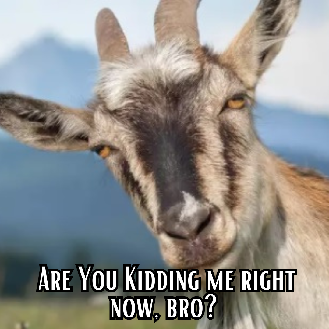 Episode 104: Things Are Not Looking Good for the Goats