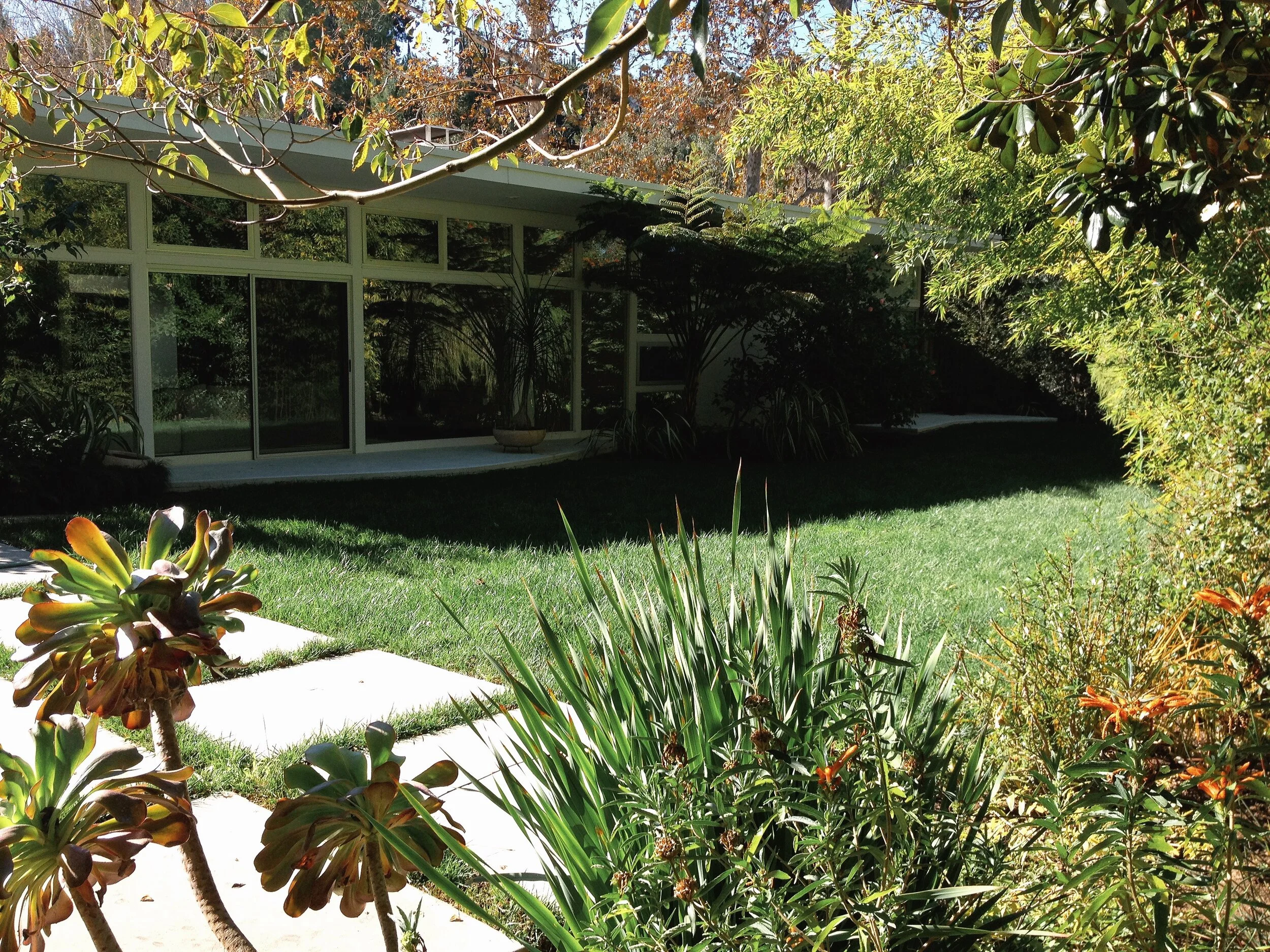 ACS_3531.JPG