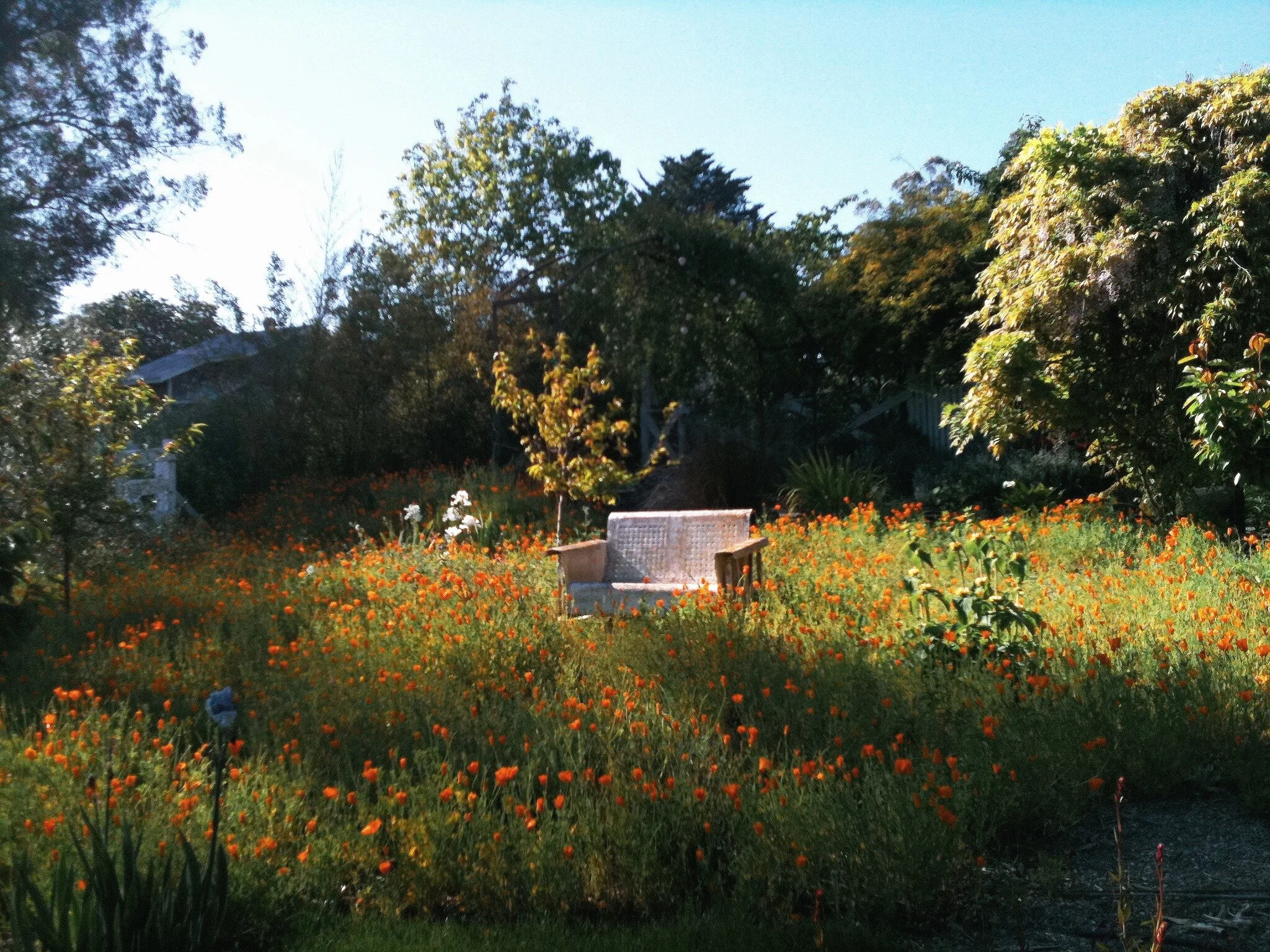 ACS_3536.JPG