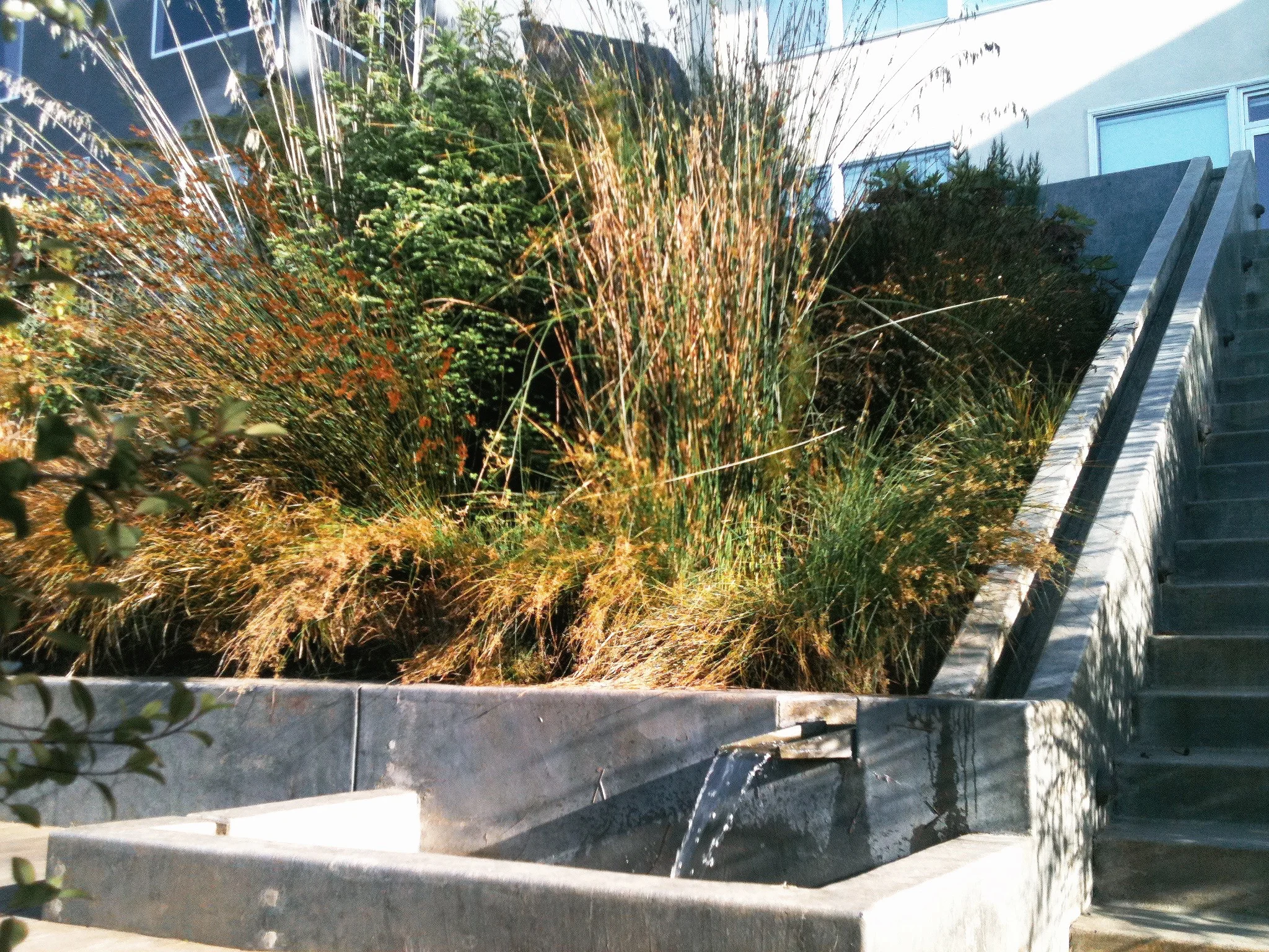 ACS_3546.JPG