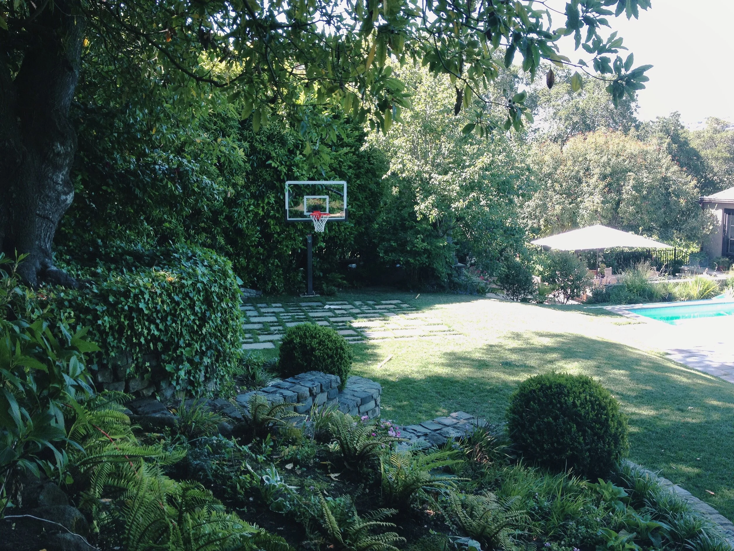 ACS_3620.JPG