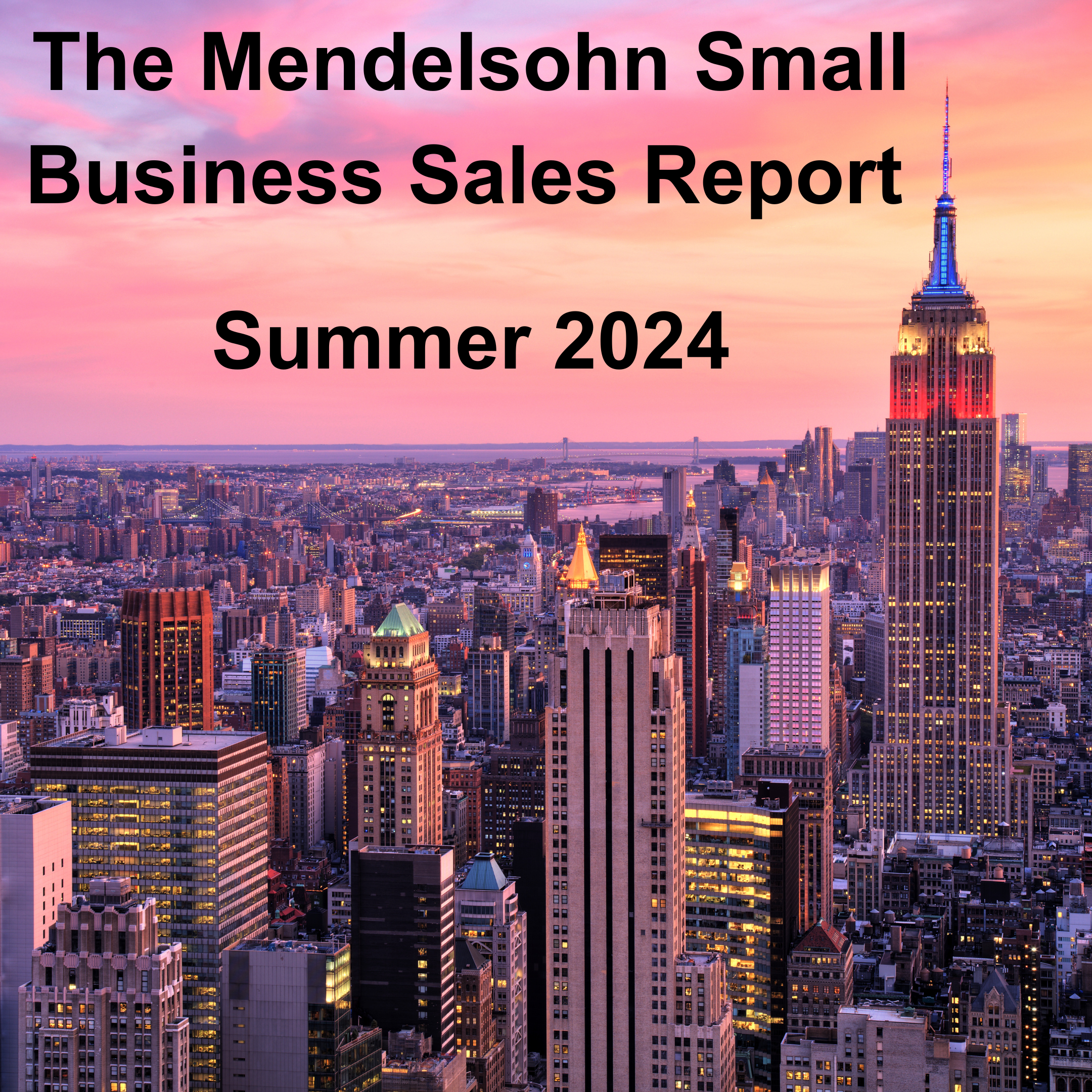 Market Report: Q2 2024 Analysis of Small Business Transactions