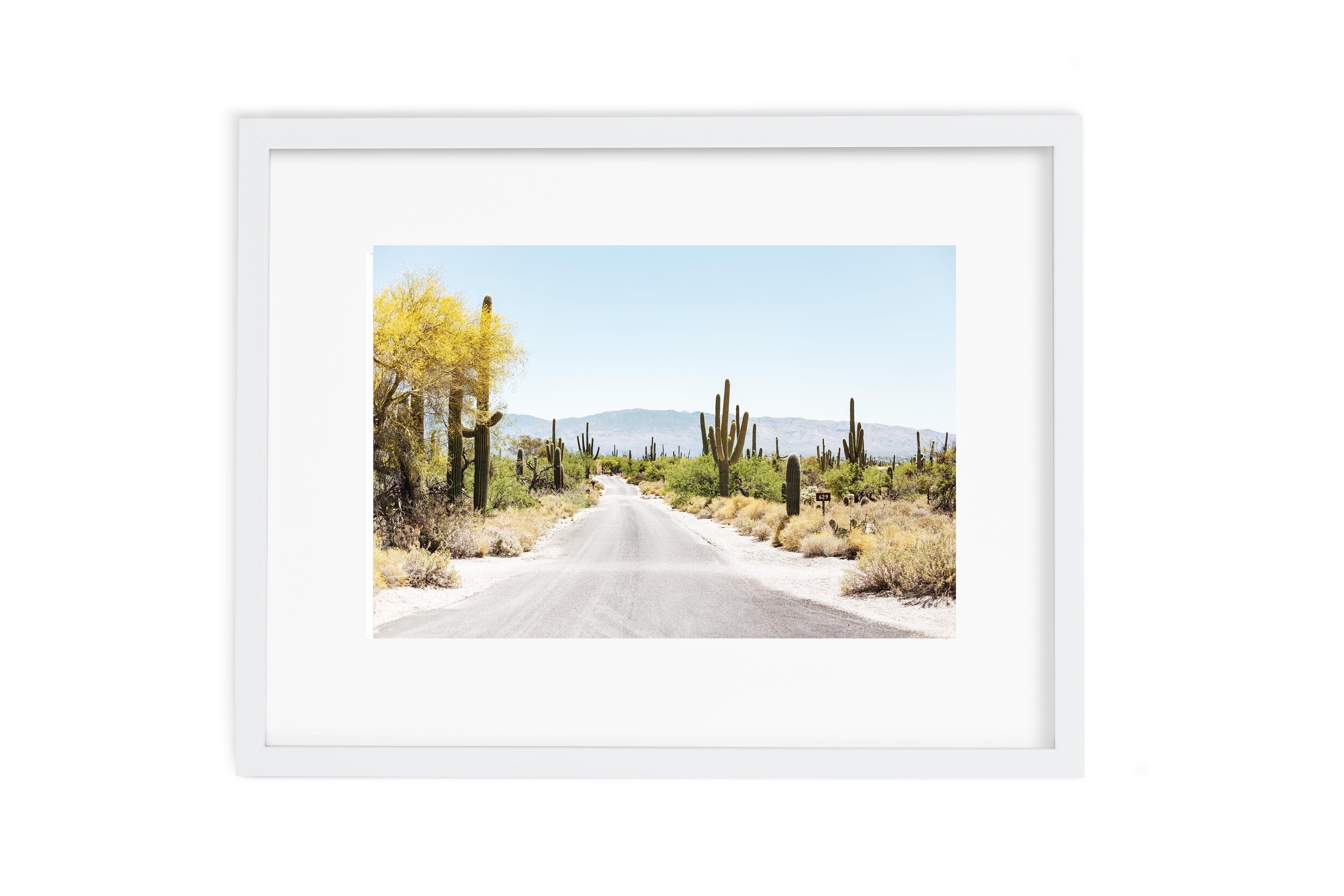 tucson1.jpg