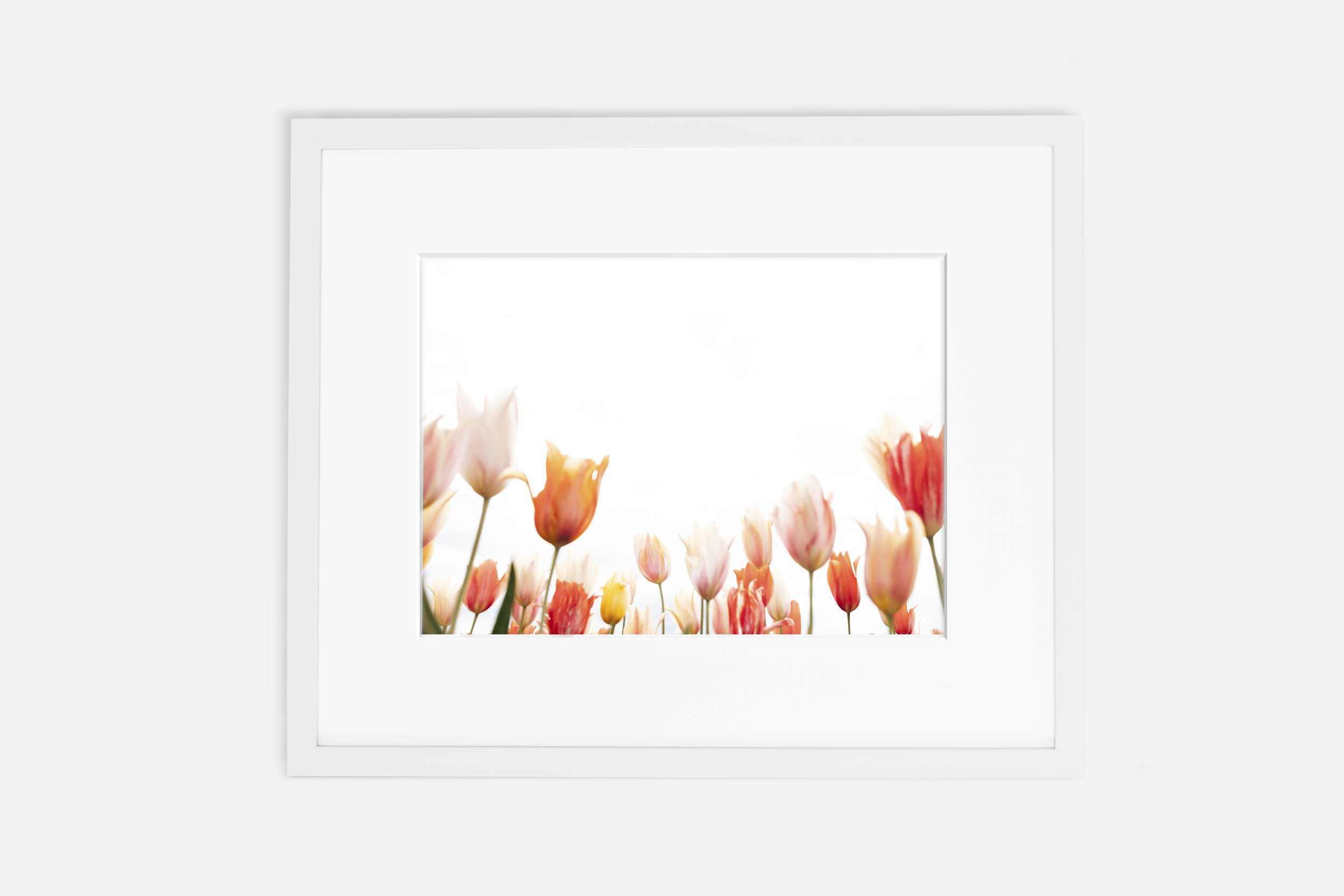 2horizontal.thumbnail copy.jpg