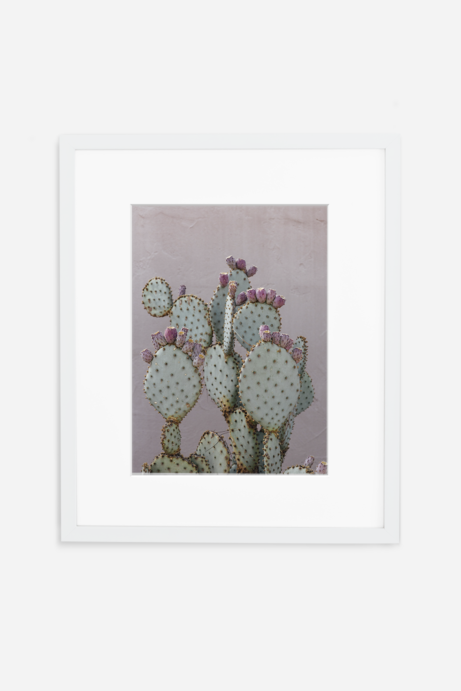 pinkpricklypear.png