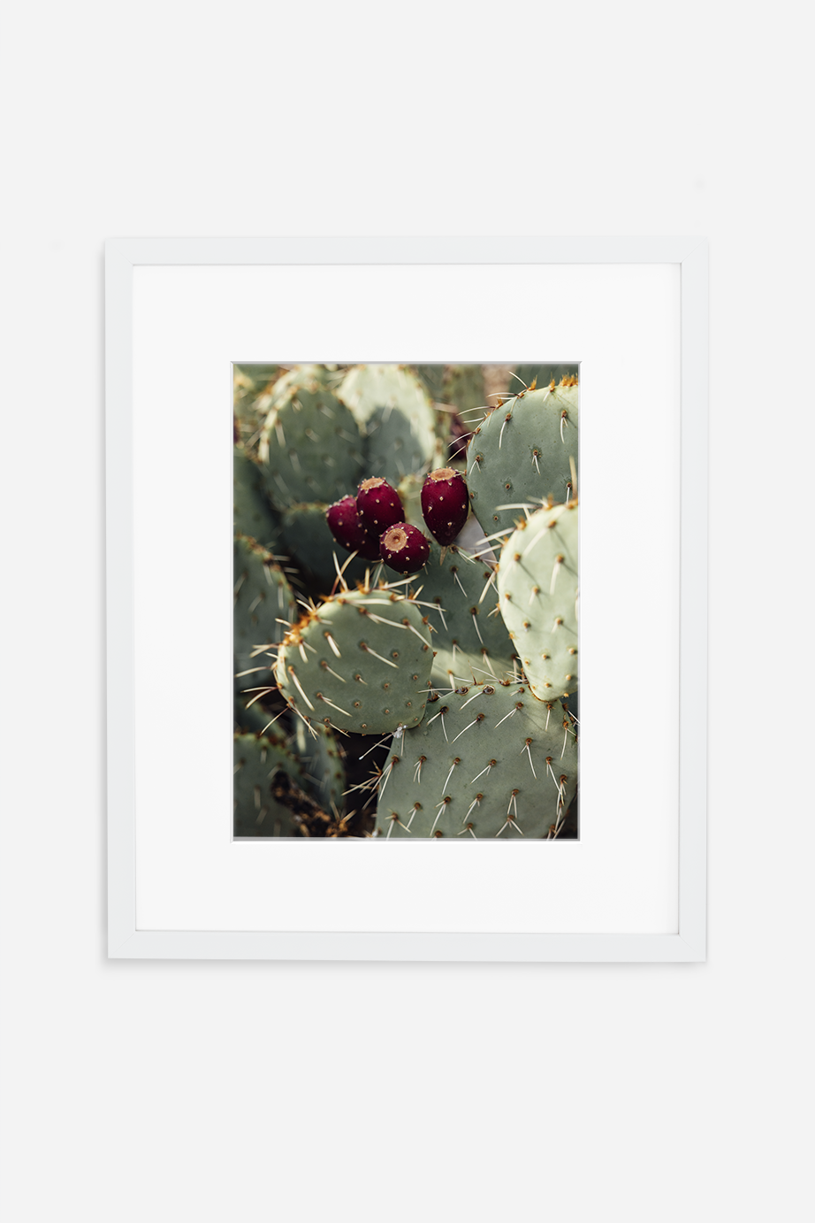 pricklypear.png