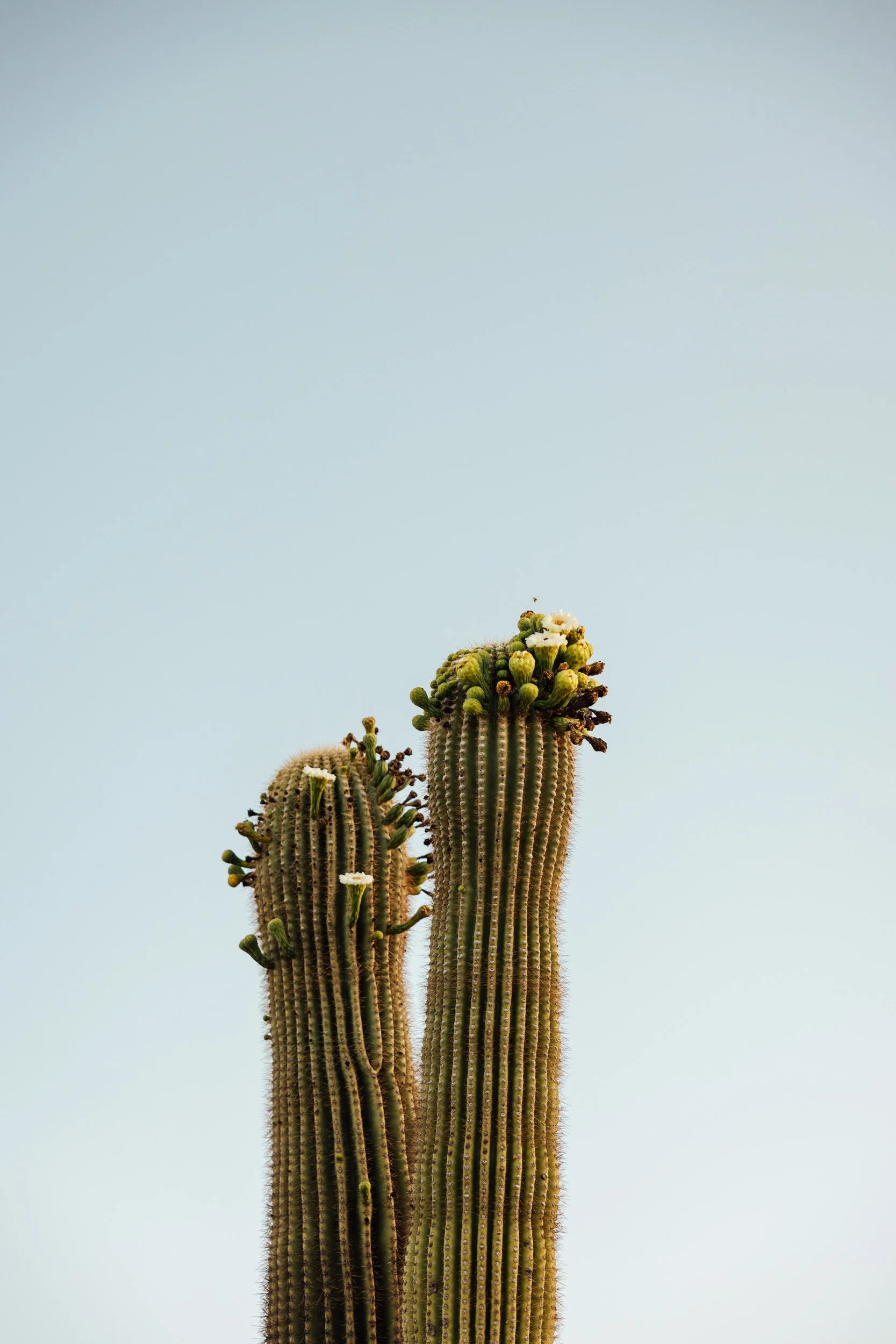 tucson-57.jpg