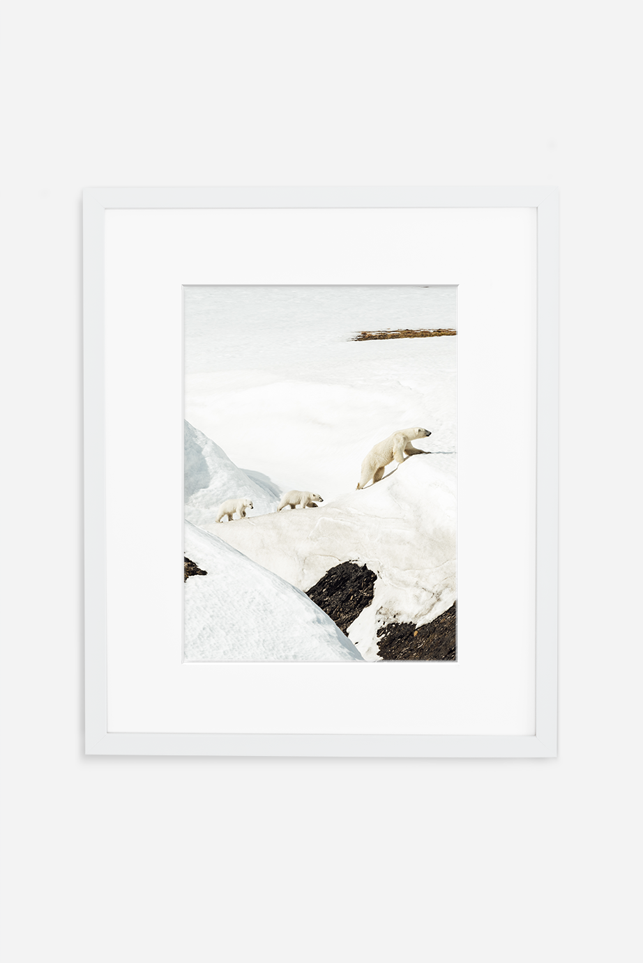 bears.frame.png
