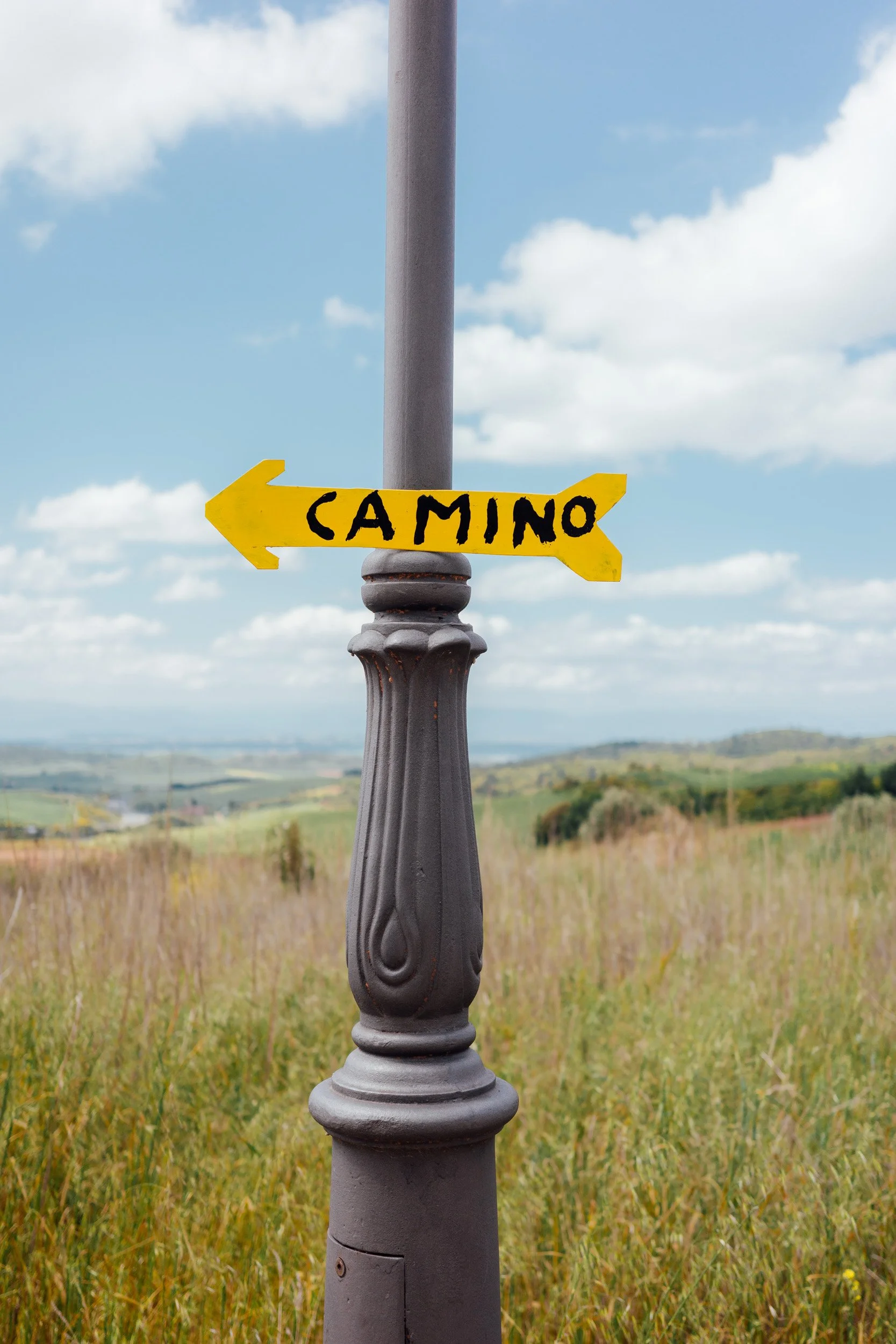 camino-46.jpg