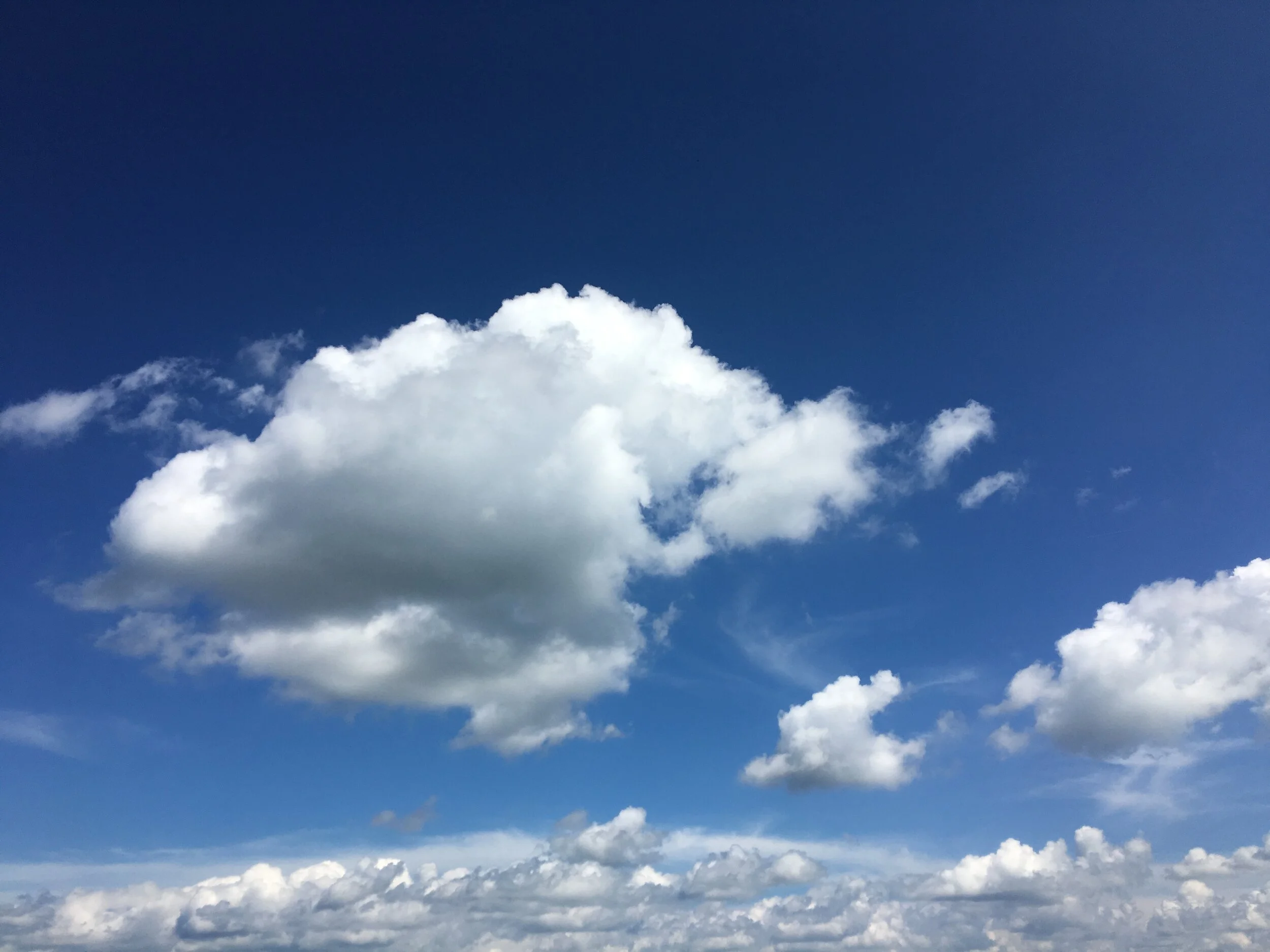 katherine long 2.JPG