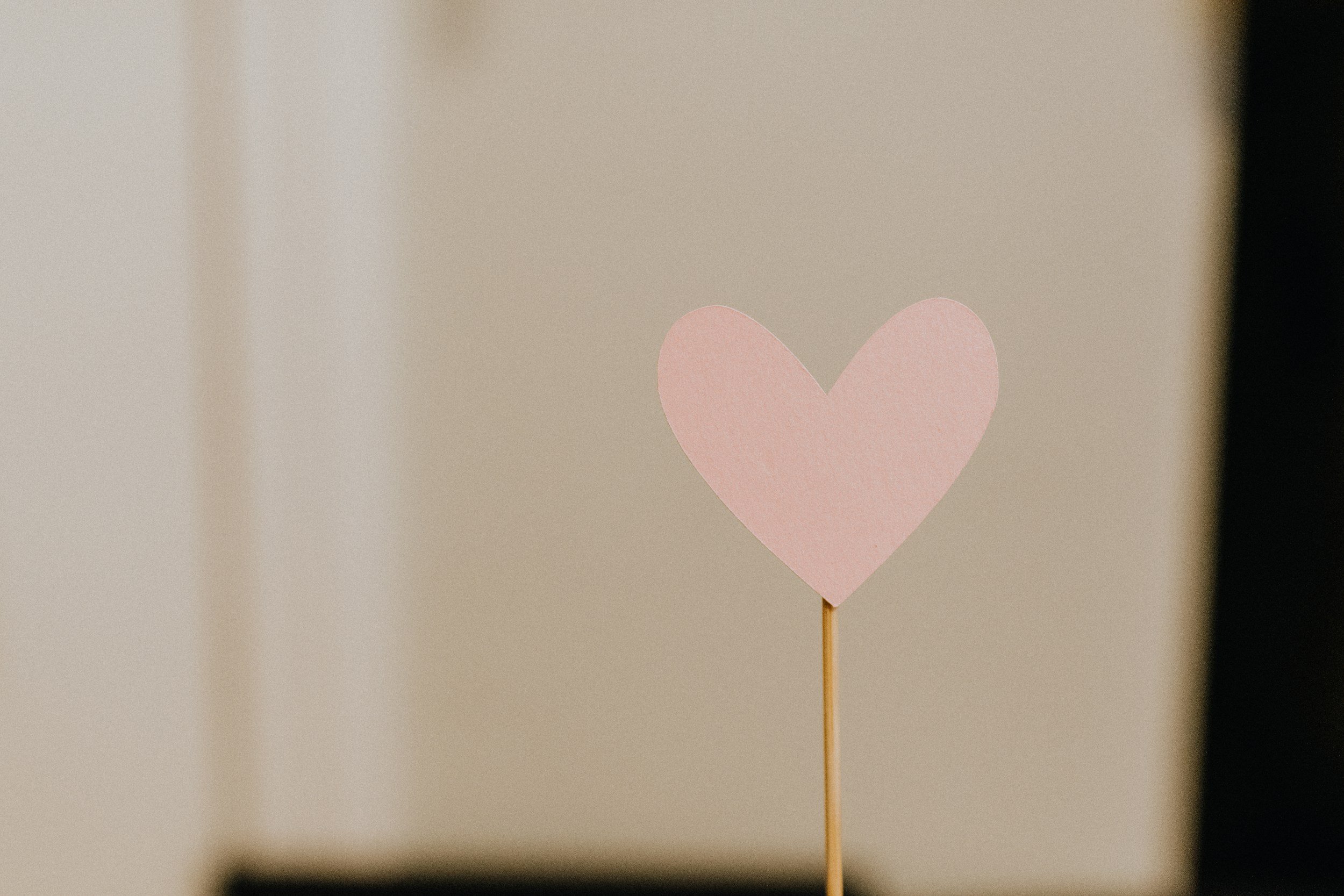 unsplash-image-afouGYcbPA8.jpg