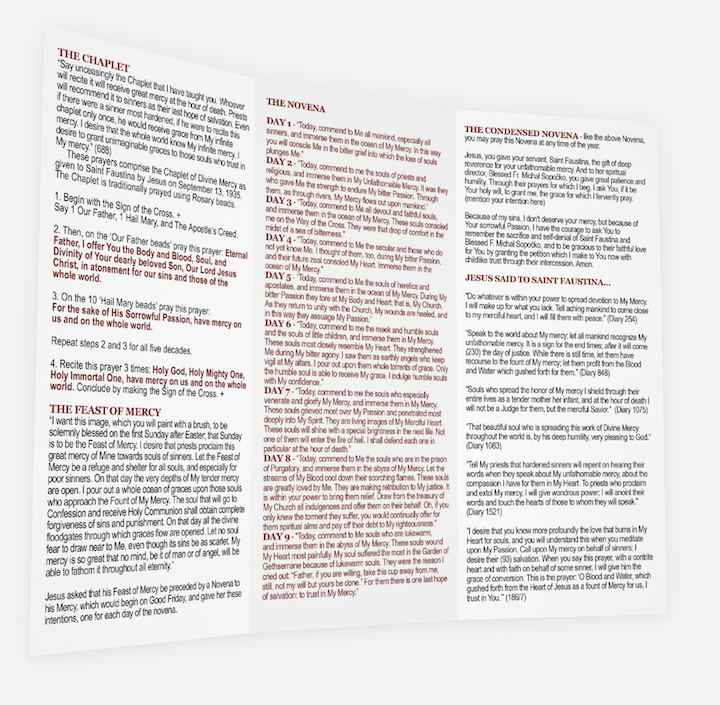 display dev brochure inside.png