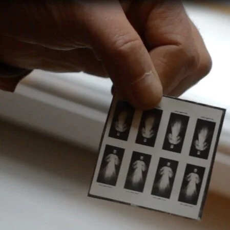 Sewn Images.jpg