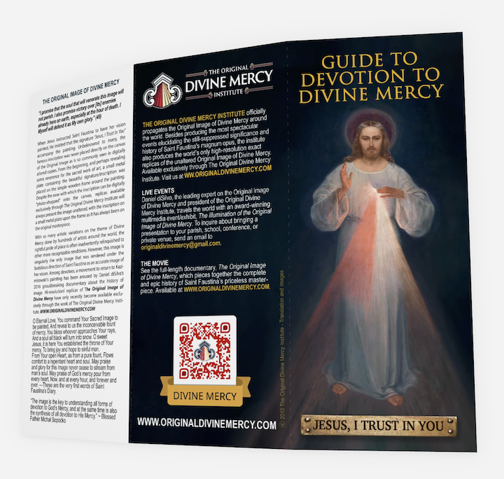 display dev brochure front.png