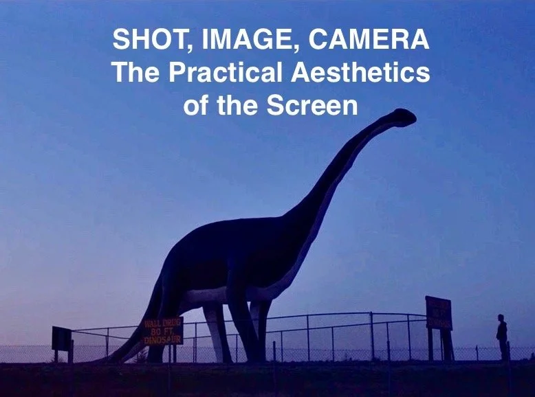 SHOT, IMAGE, CAMERA: THE PRACTICAL AESTHETICS OF THE SCREEN