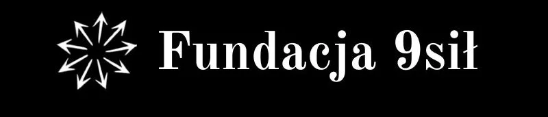 Logo with a white stylized star or snowflake on a black background, and the text 'Fundacja 9silt' next to it.