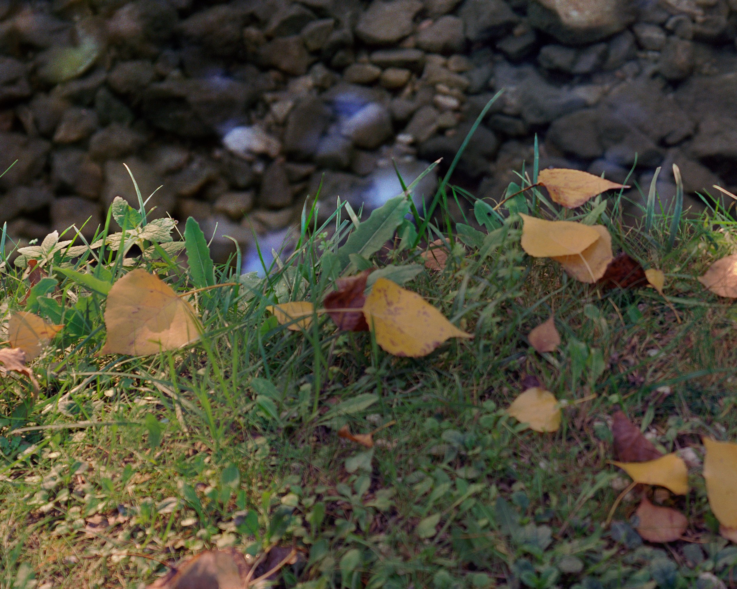 FONTI PARADOX ©Verburg 2016 2024 3of4 40 X 28.jpg