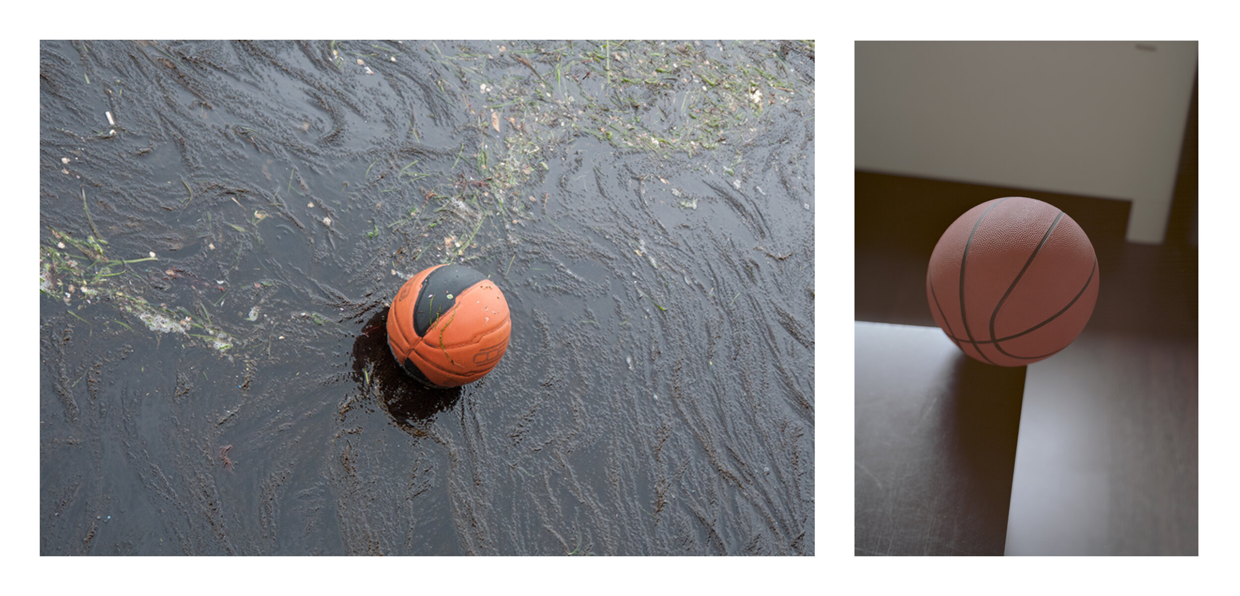 Basketball Diptych.jpg