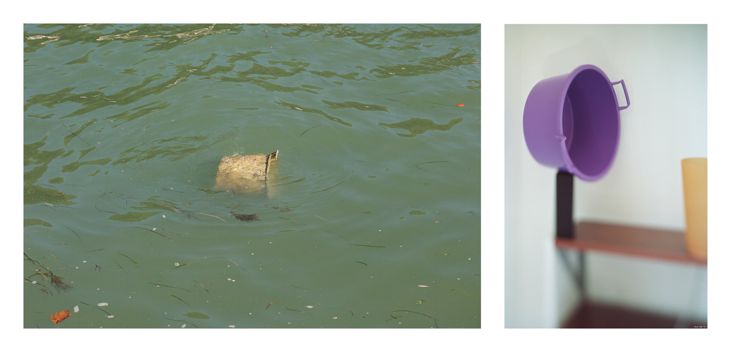 Plastic Tub Diptych.jpg