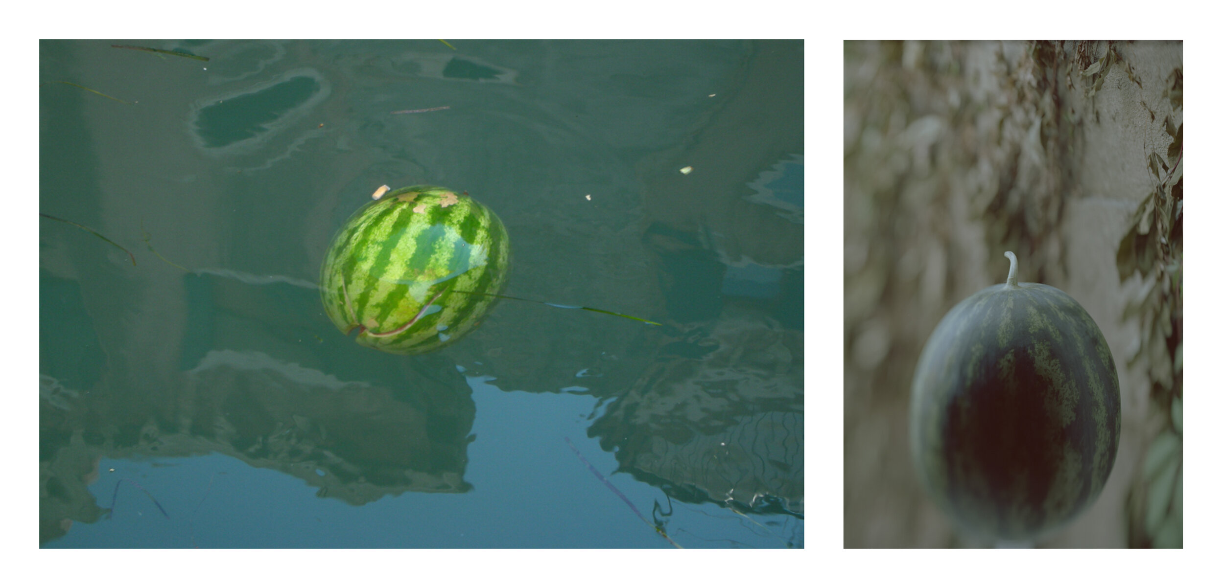 Watermelon Diptych.jpg