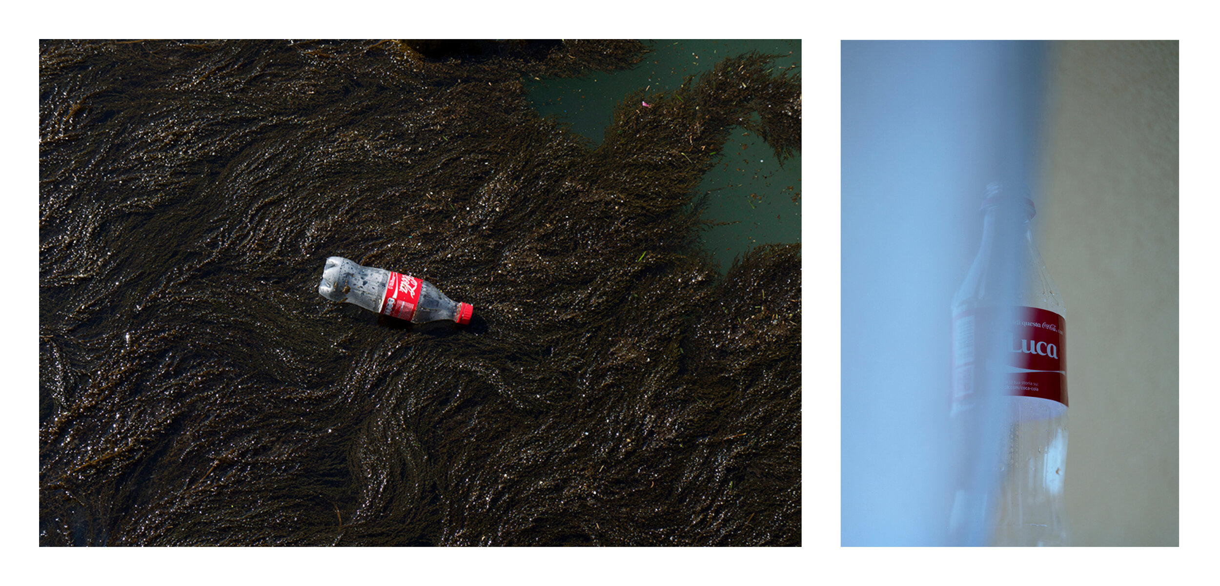 Coke Diptych.jpg