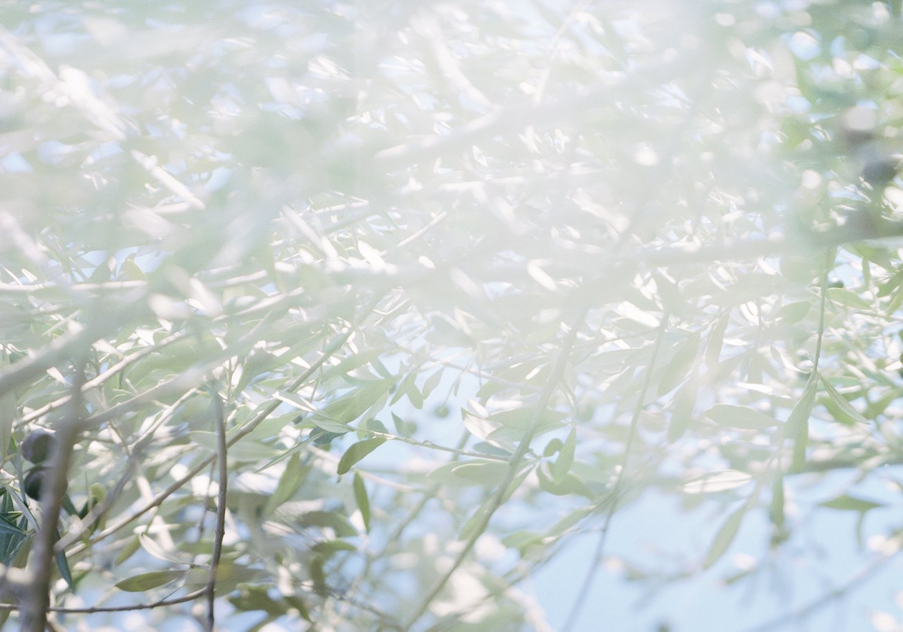 detail from TIPPY SKY.jpg