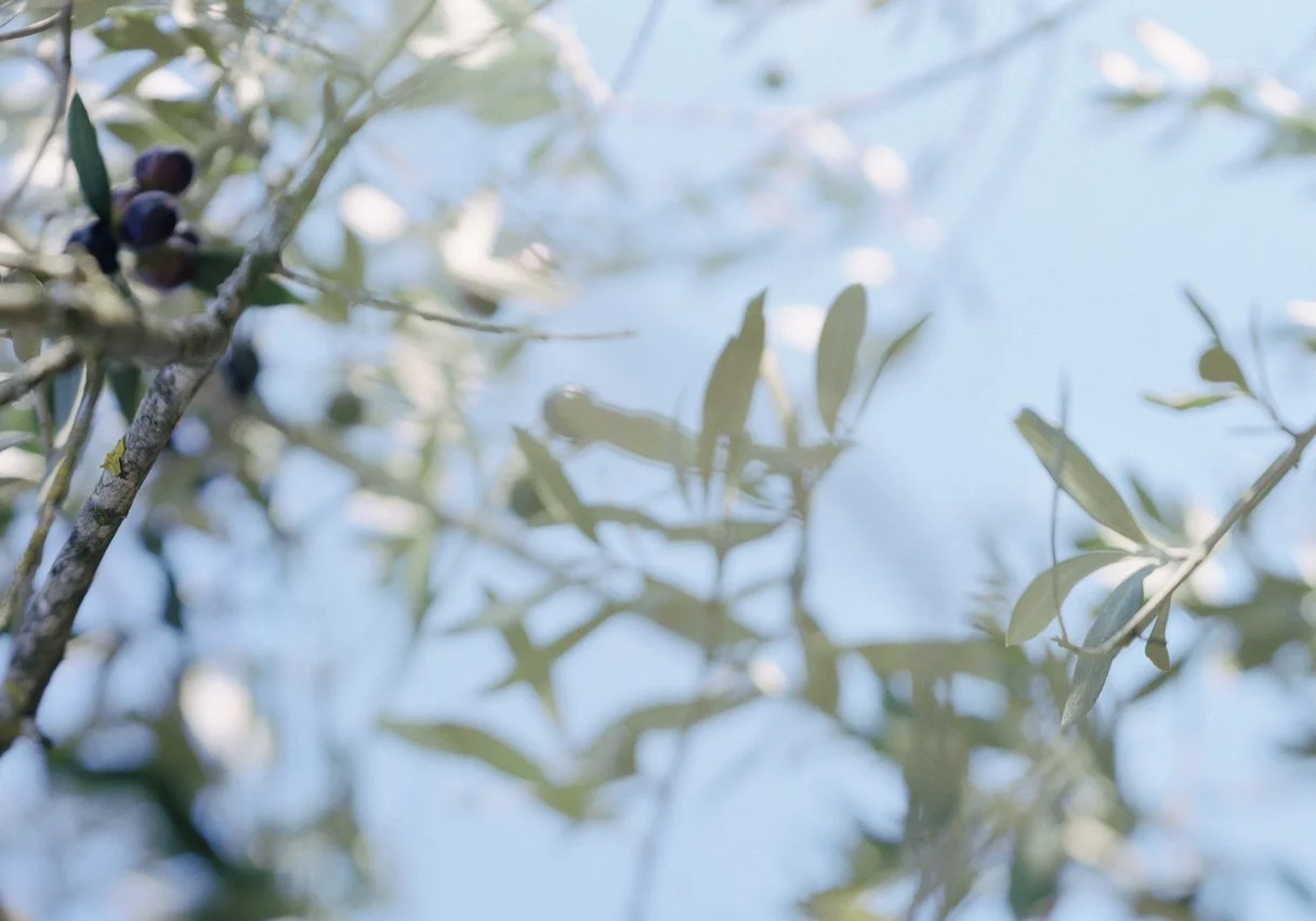 detail 3 of Tippy Sky, 2024.jpg