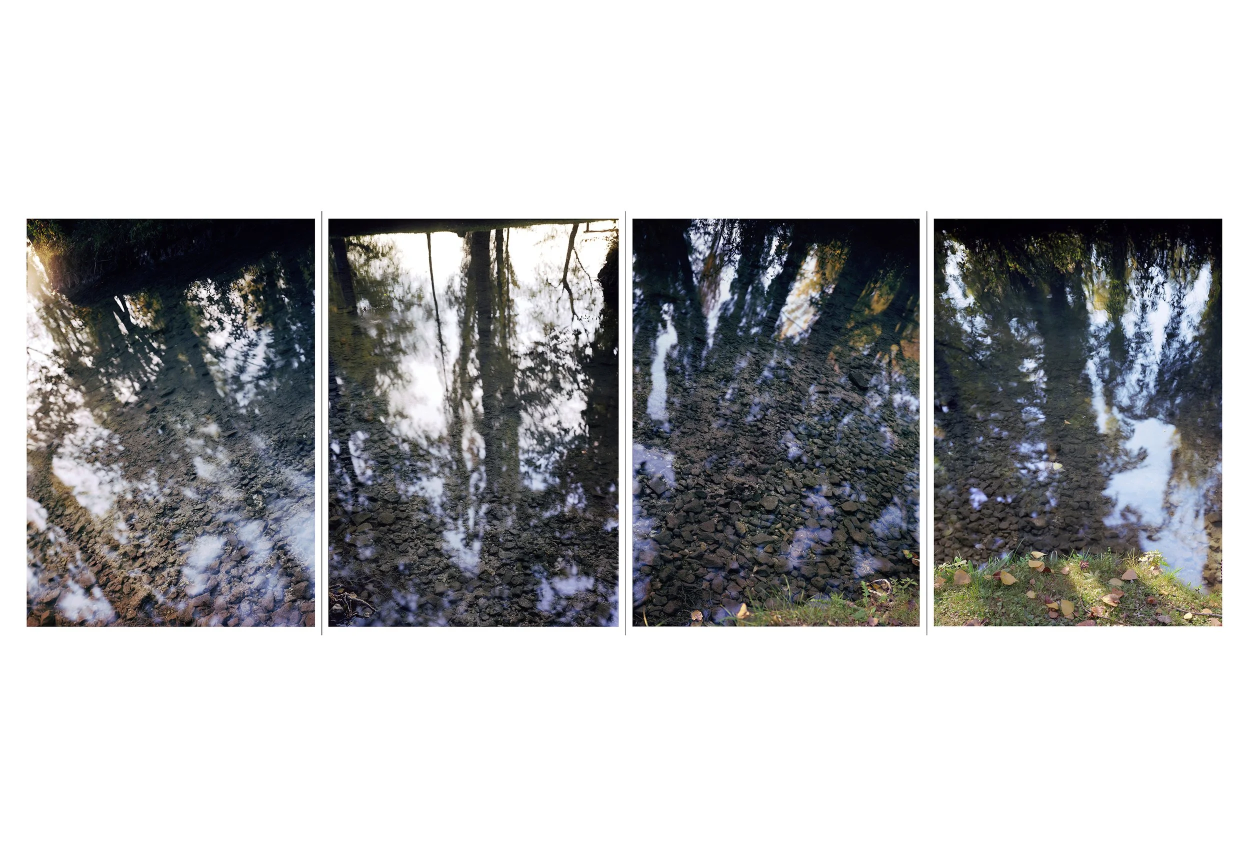 2016 FONTI PARADOX_Bordered copy.jpg