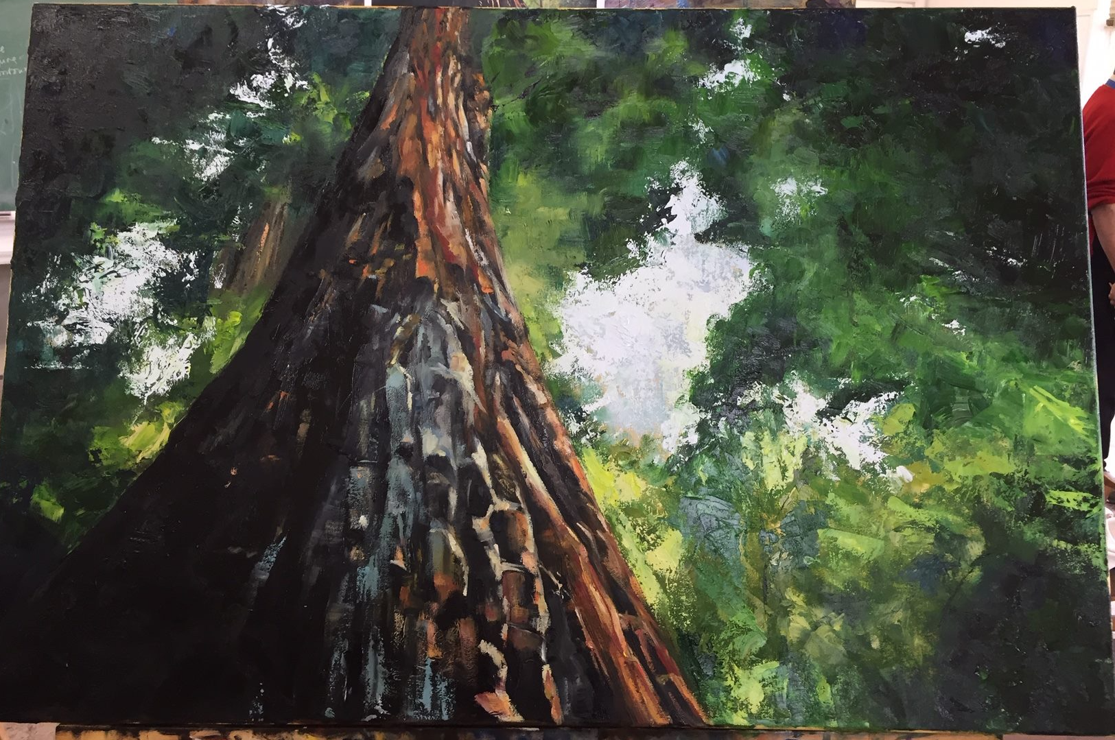 Forest 
