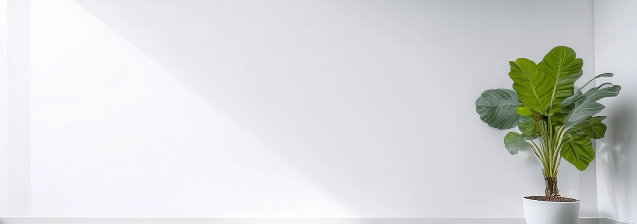 Minimal white room with a plant beside text about retirement planning services.