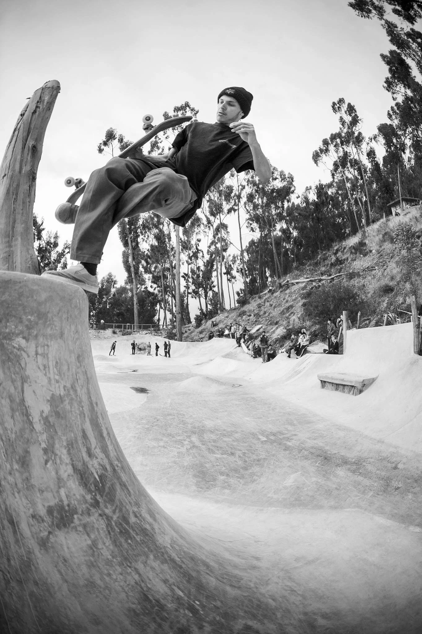  Arbel, Bastard Plant 