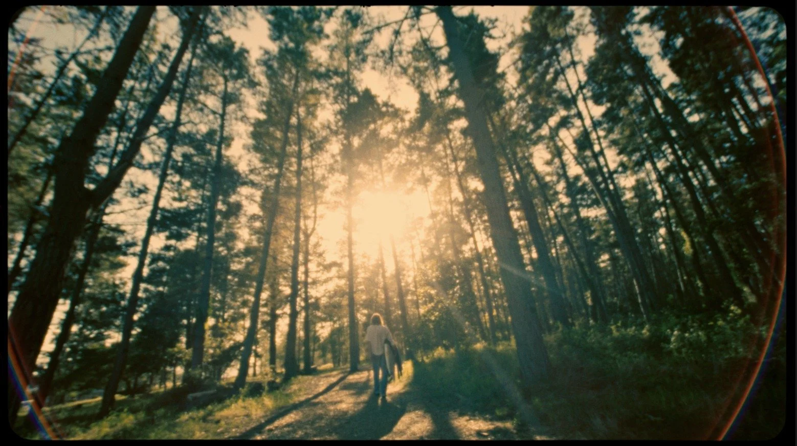 Matt Kleiner morning of the earth