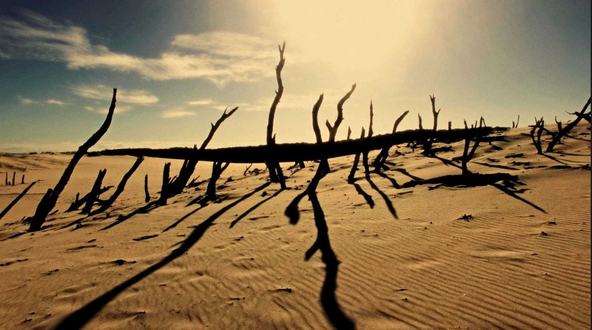 Matt Kleiner outdoor film director, nature, cinematography, short film