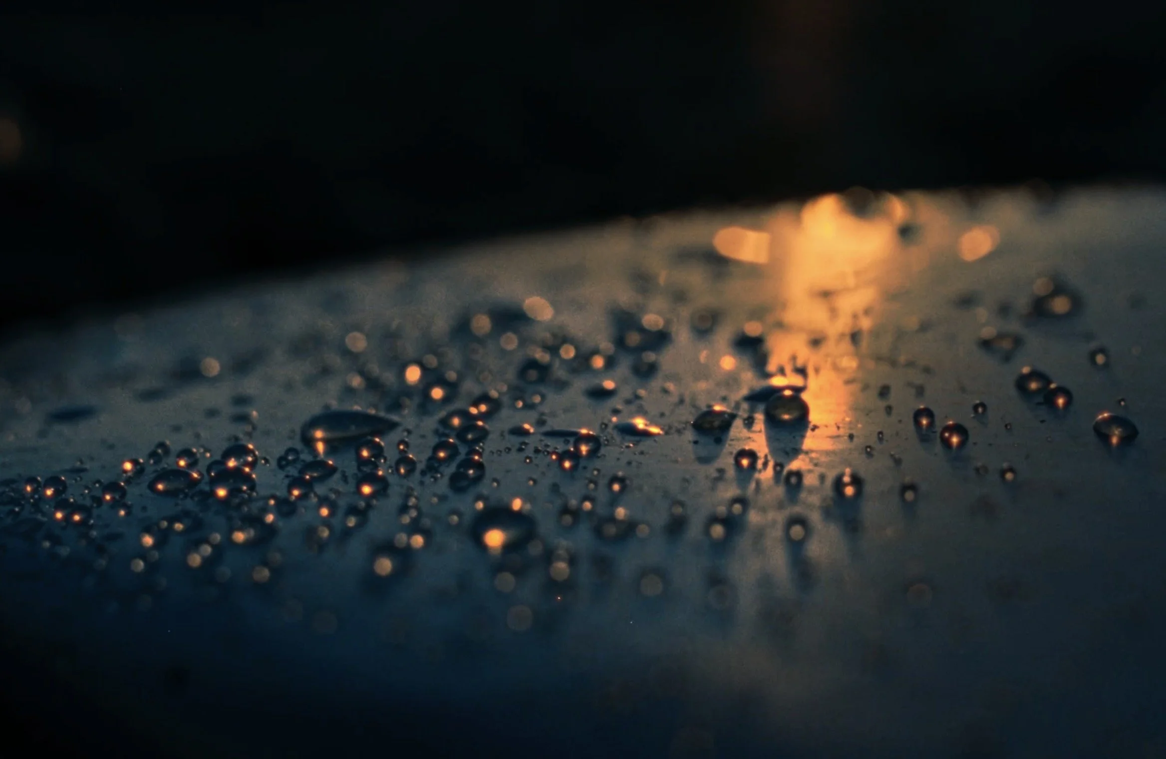 Matt Kleiner short film color into sound with Ryan Kleiner