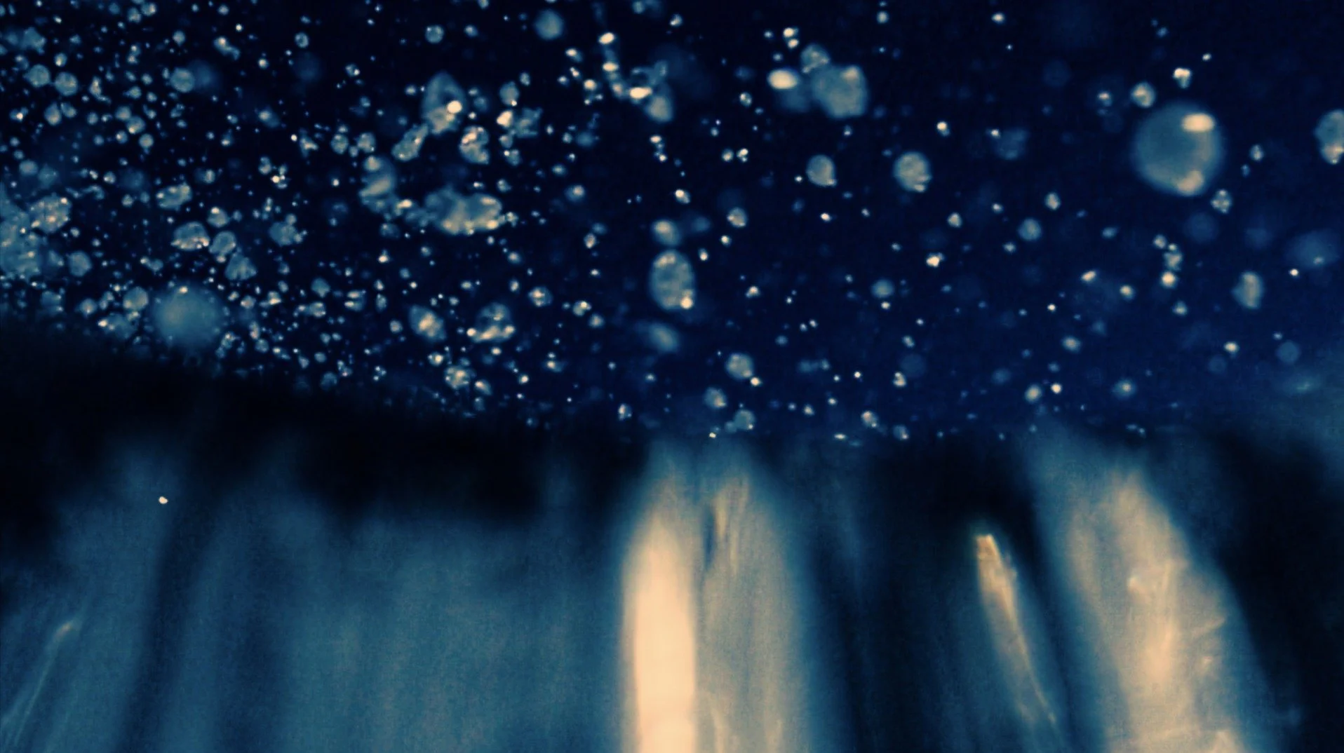 Matt Kleiner short film color into sound , underwater Dop