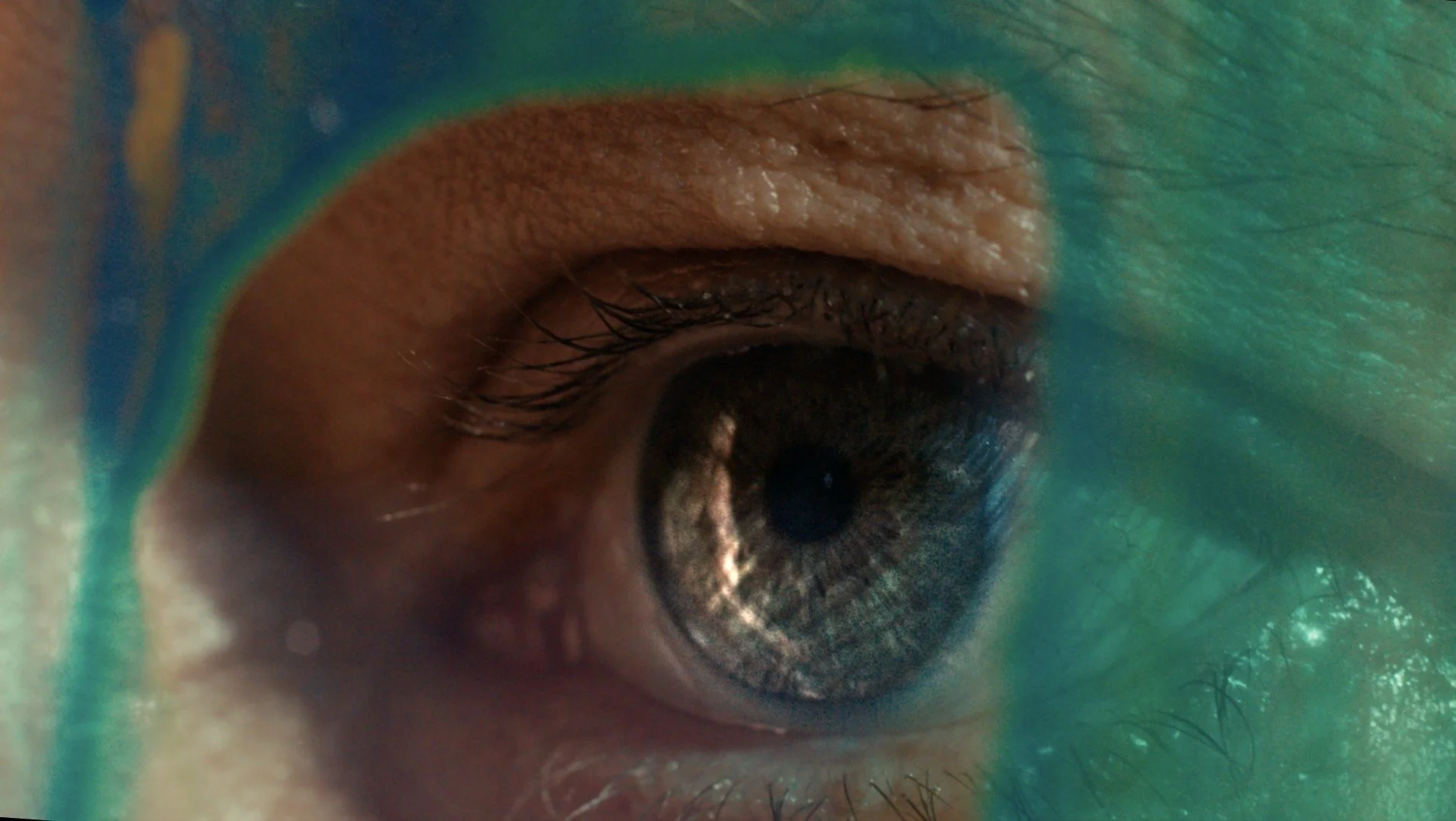 Matt Kleiner short film color into sound with Ryan Kleiner