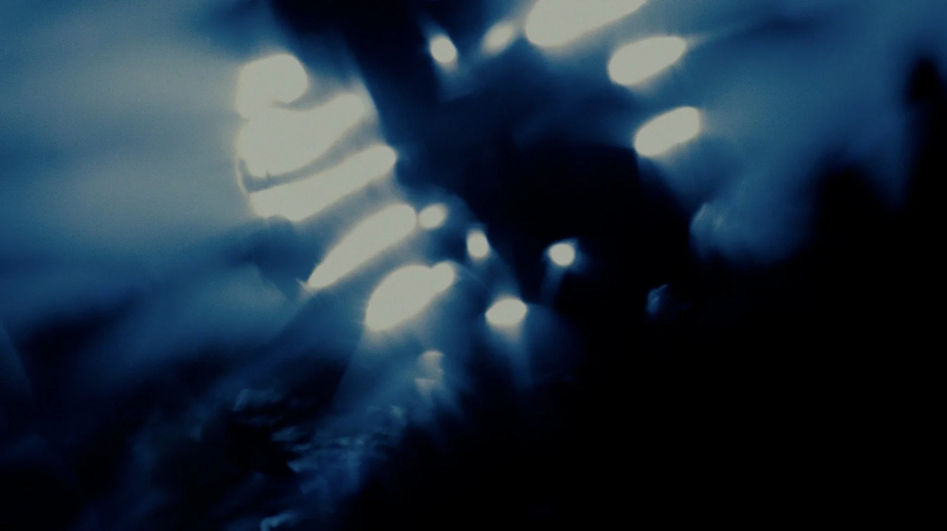 matt kleiner nature film