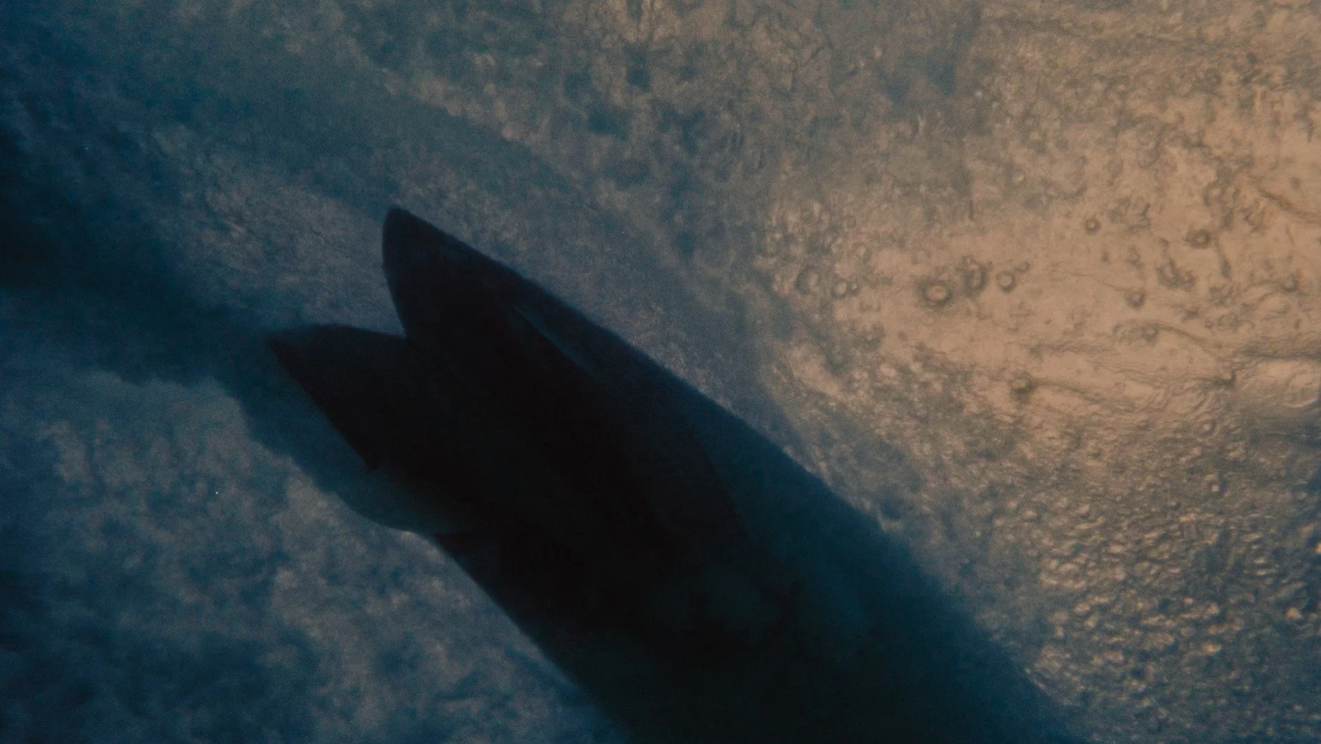 Matt Kleiner underwater DoP surfer underwater
